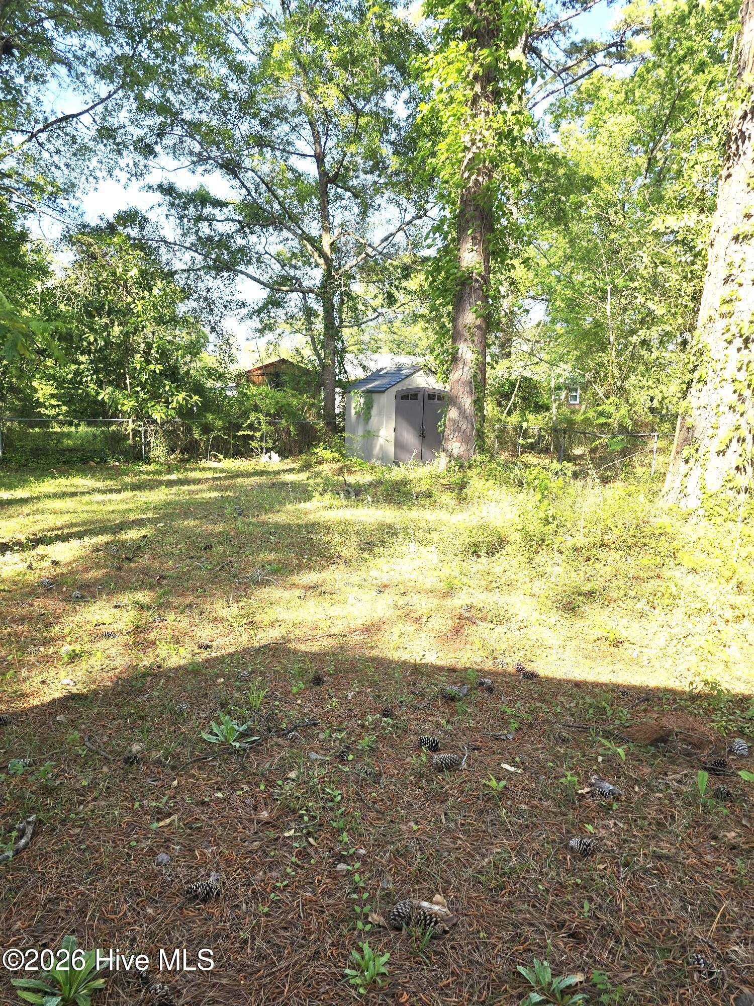 100567679 | Photo 32