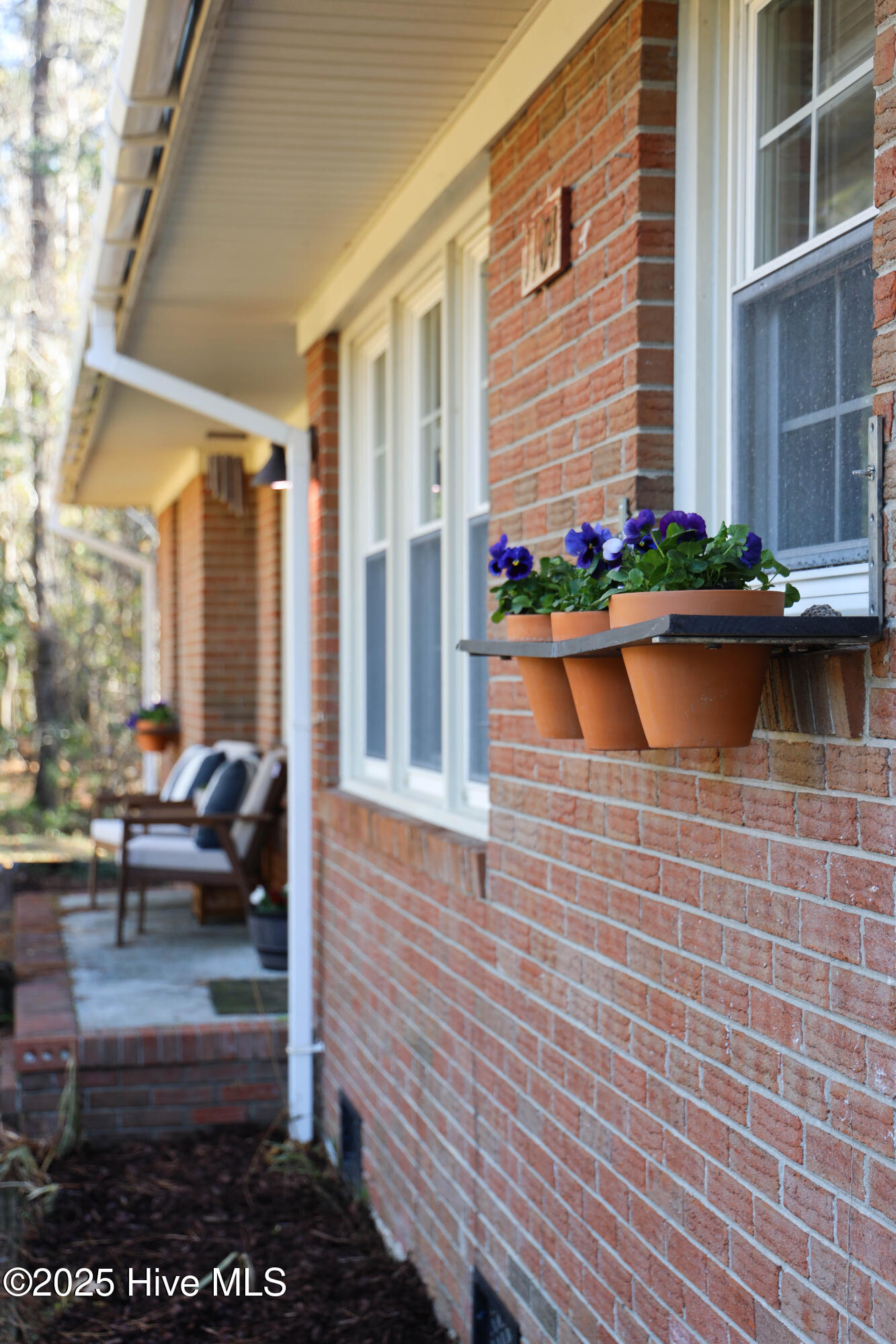 100546287 | Photo 54