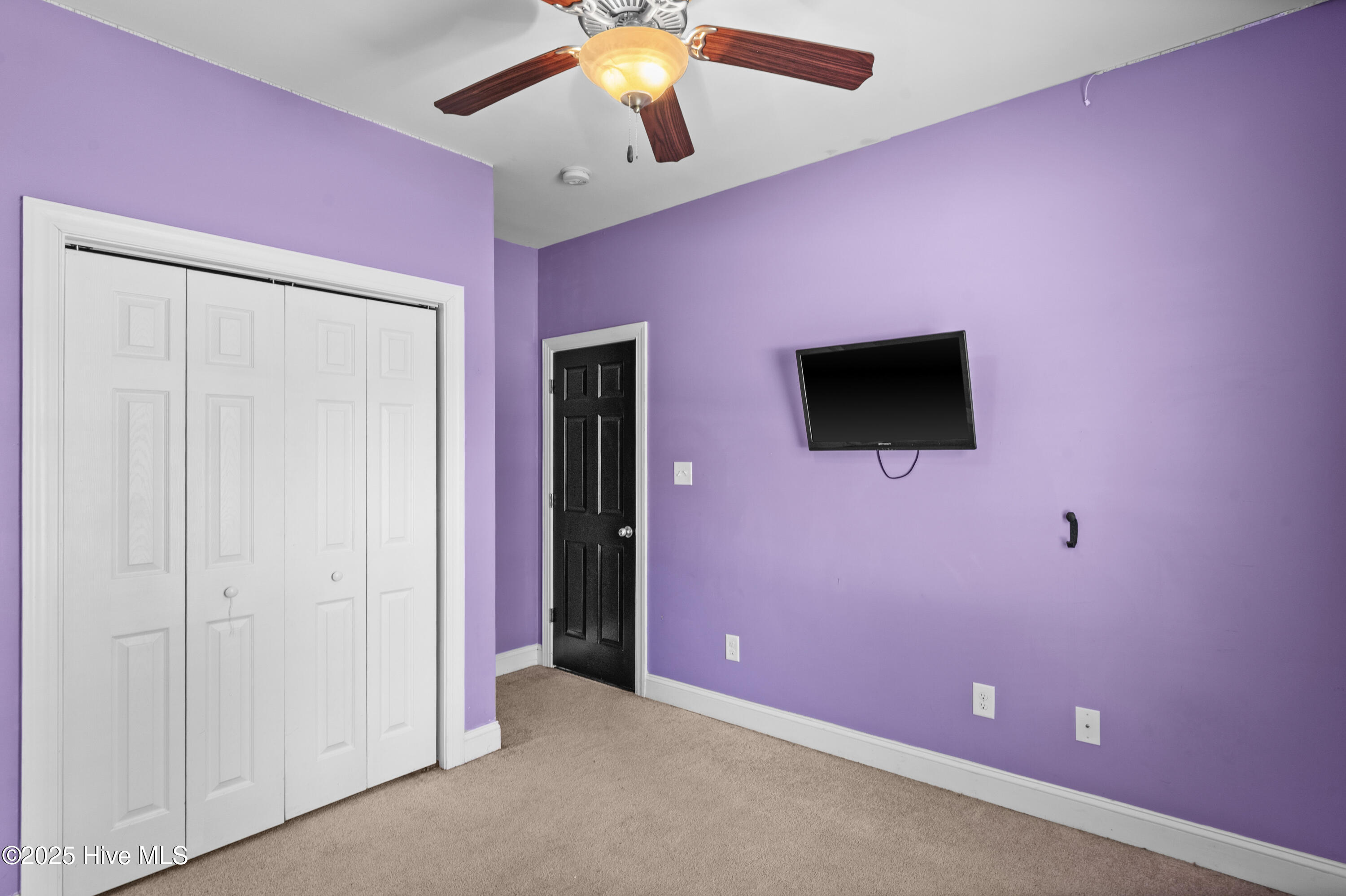 100530056 | Photo 19