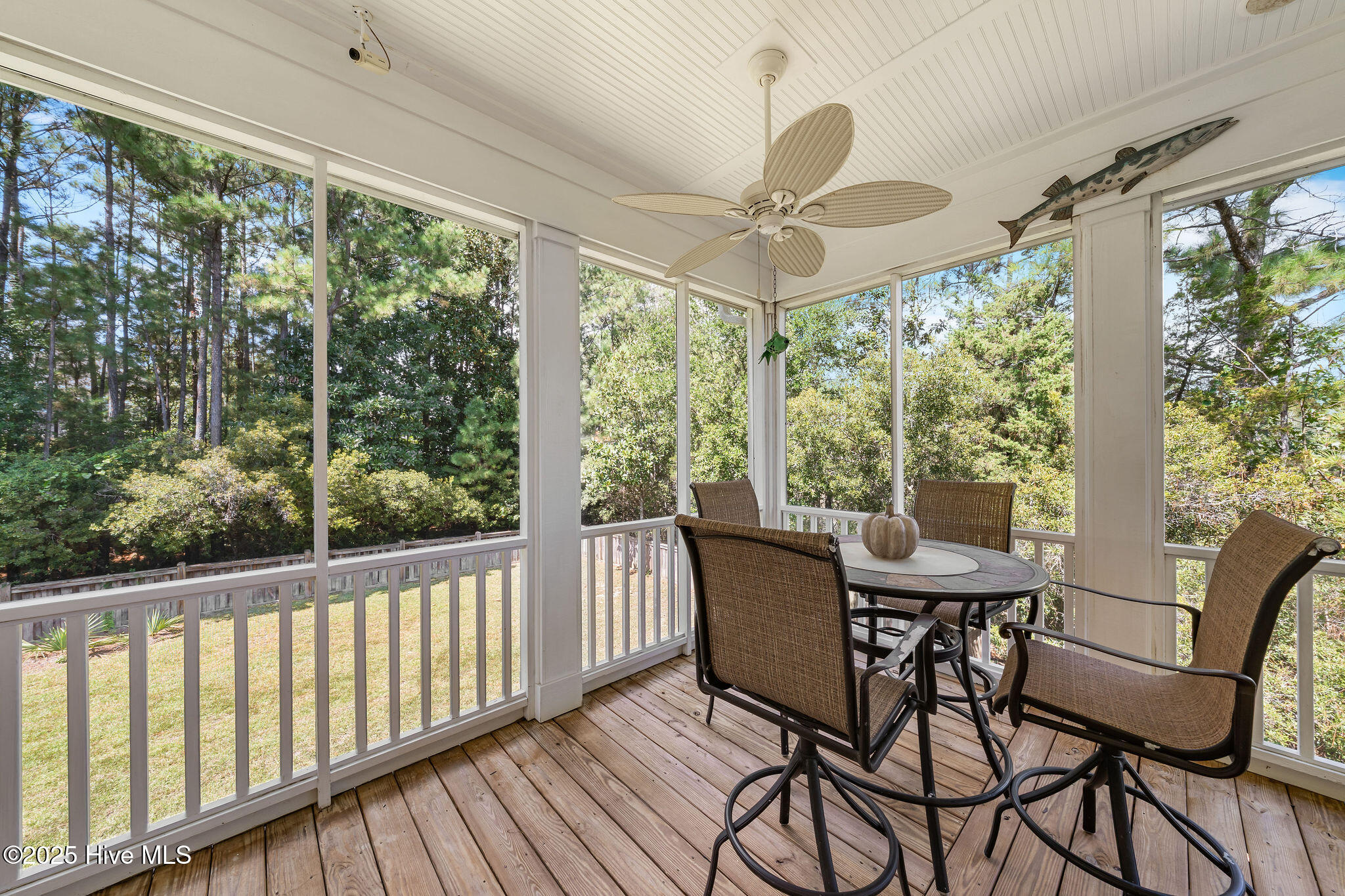 100532416 | Photo 64