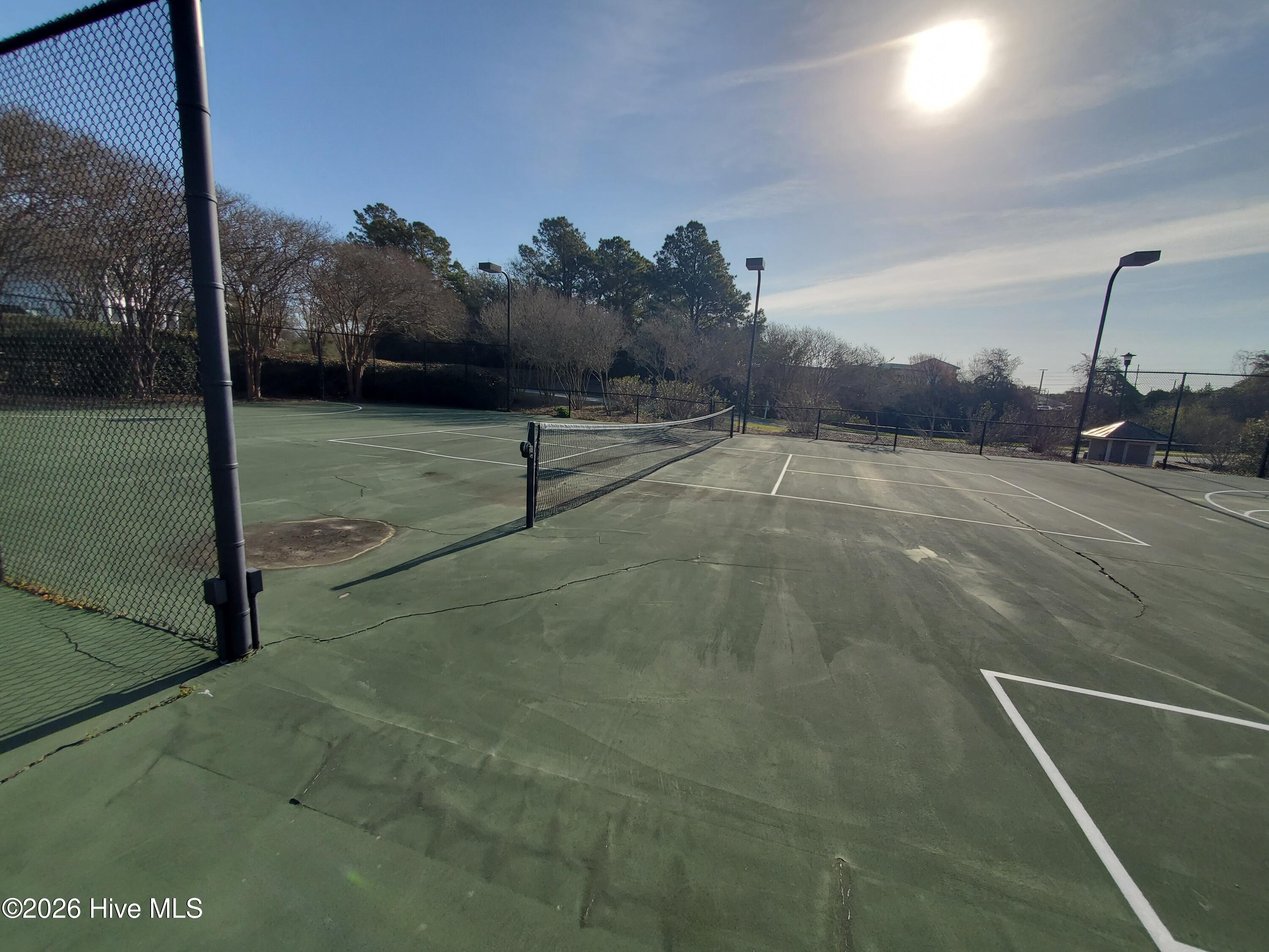 100560491 | Photo 65