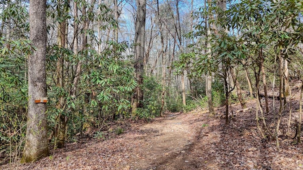 520 Farmer Drive, Murphy, NC 28906 Listing Photo  129