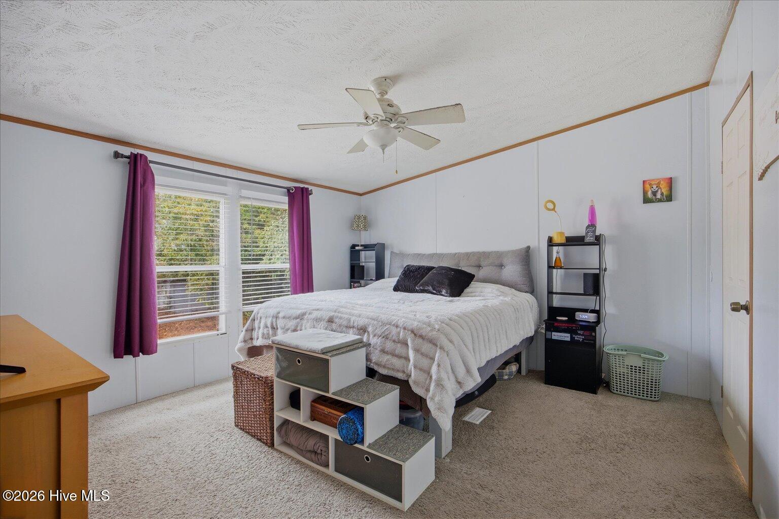 100556219 | Photo 12