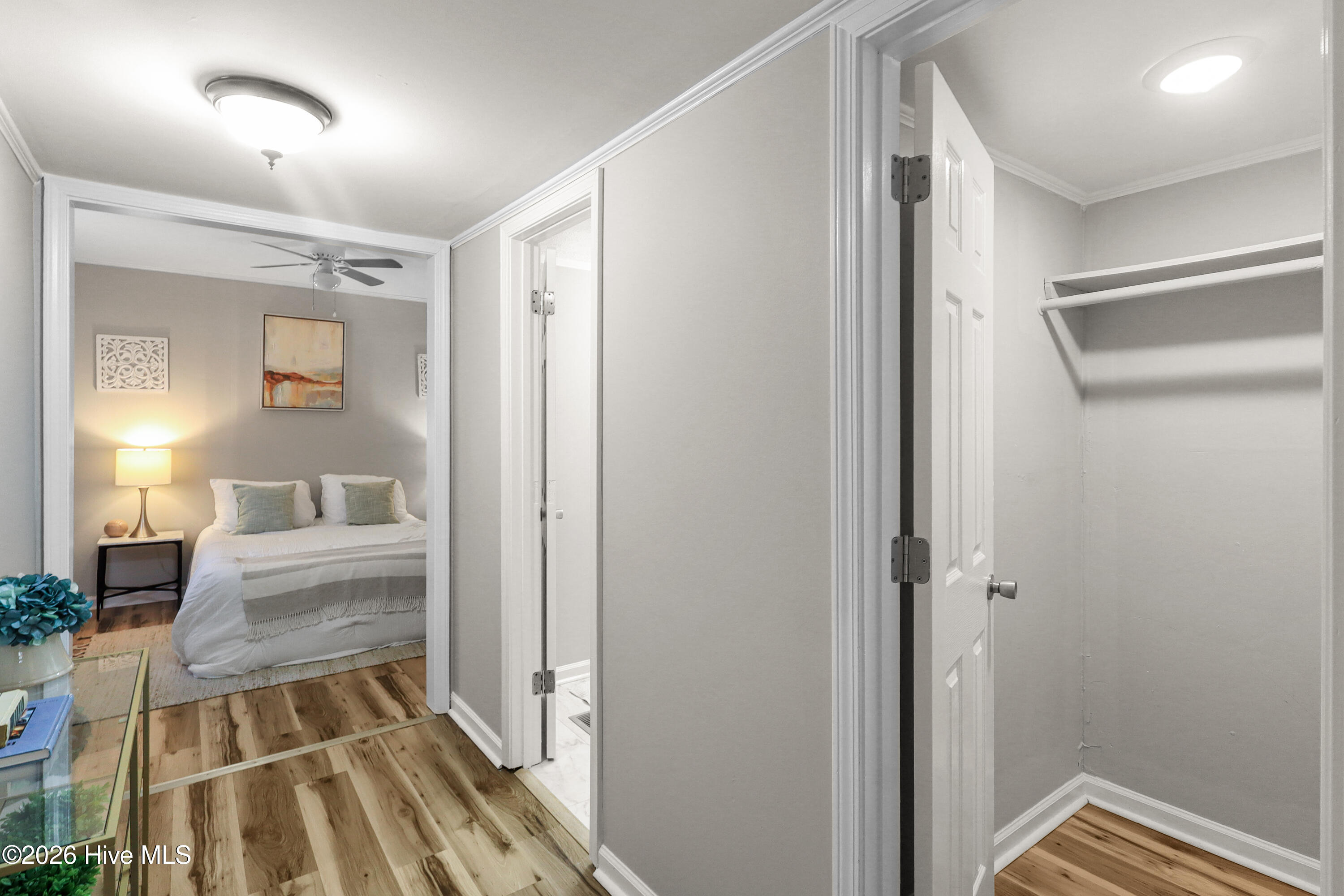 100556489 | Photo 17