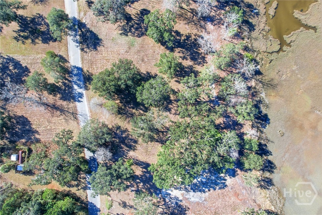 Homes for sale in Midway, GA | Lot 5 Bermuda Bluff Ln, Midway, GA 31320 | MLS# SA348422