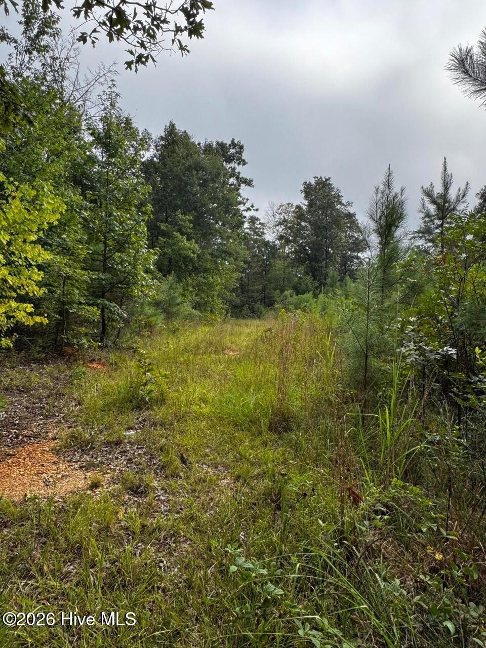 Photo 3 of Land for sale at 00 Gabe Rd, Saluda, SC 29138 | MLS# 100609162 | Listing updated on 2026-10-08