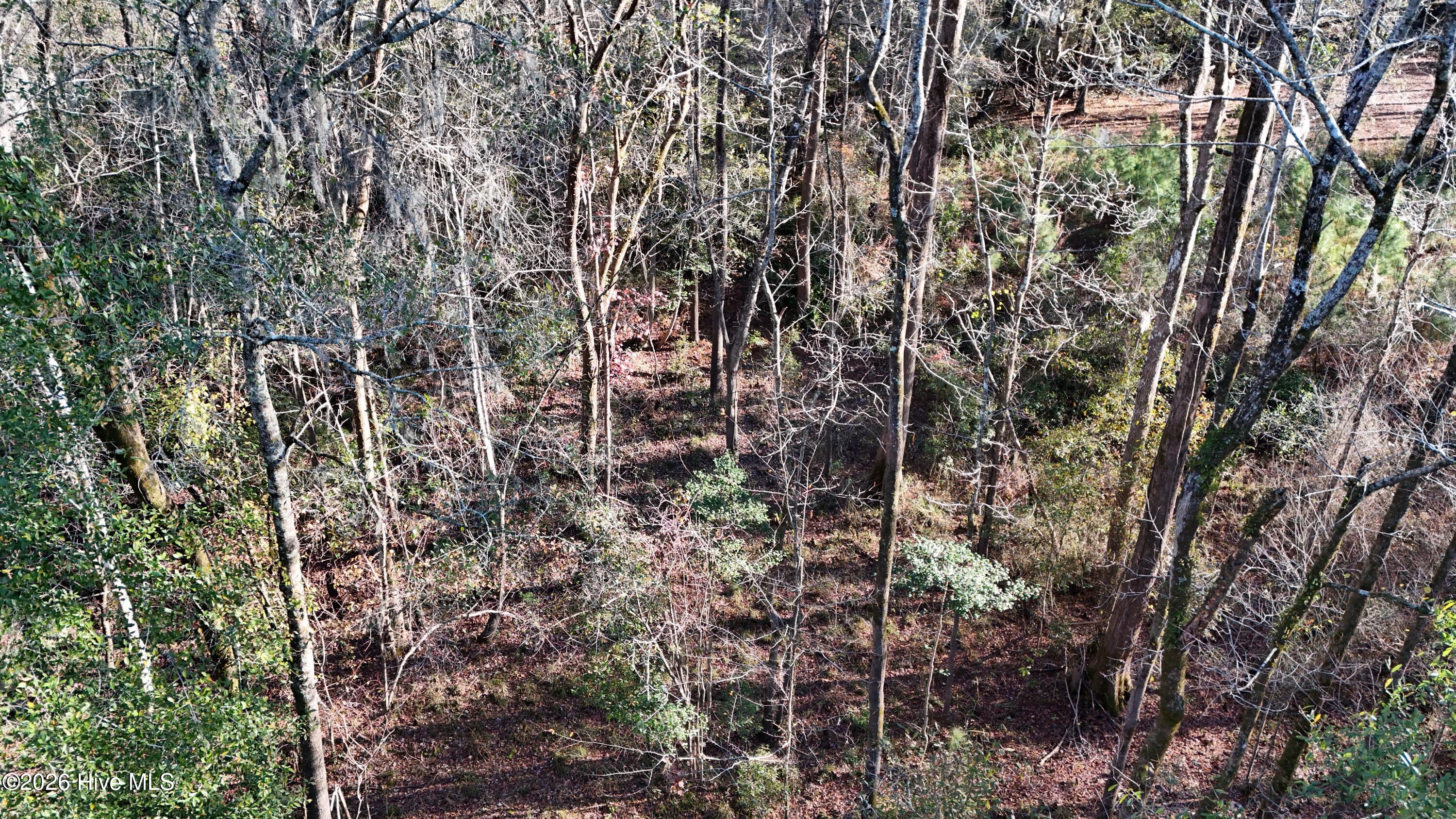 100556794 | Photo 20