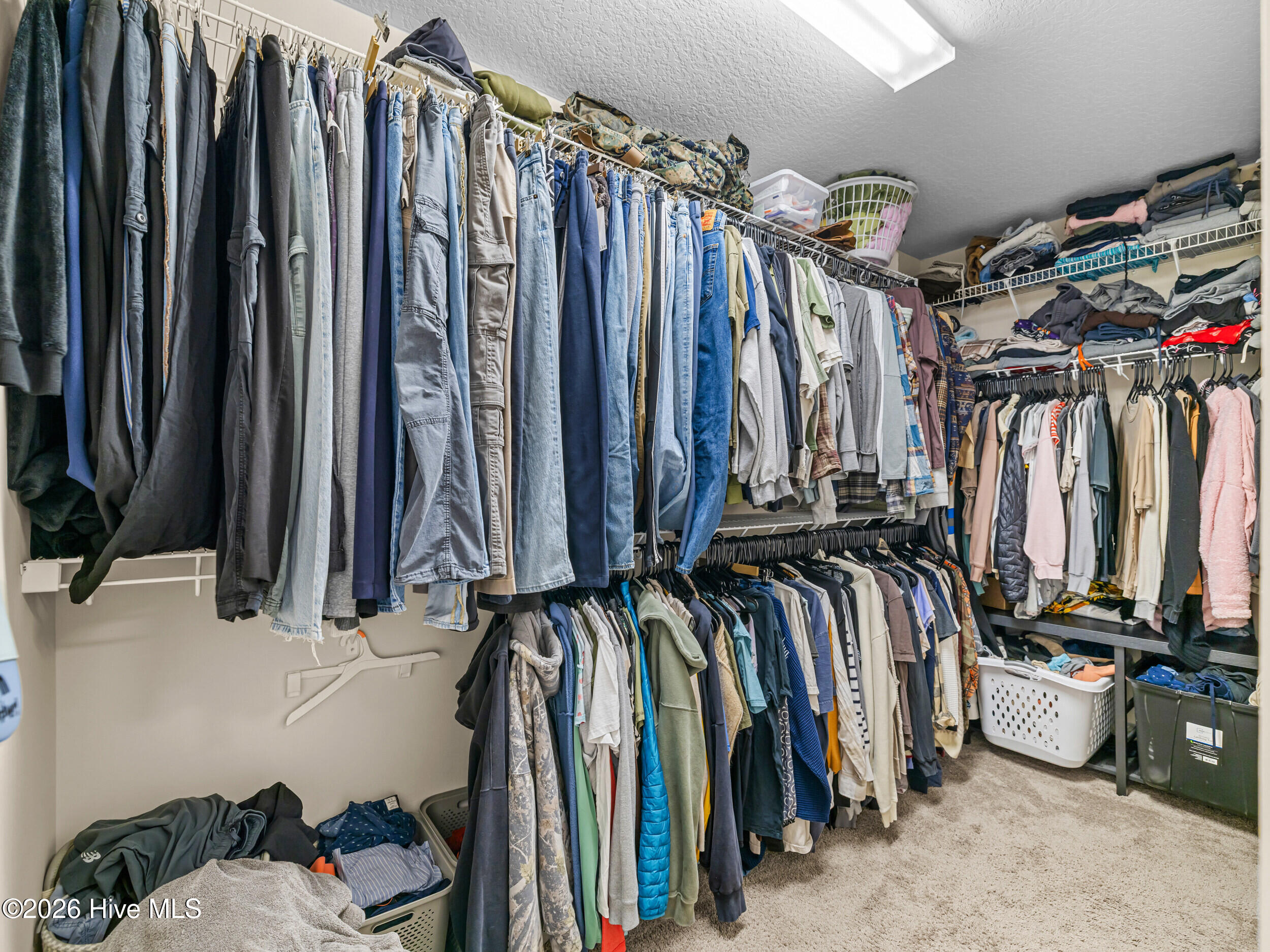 100567423 | Photo 39