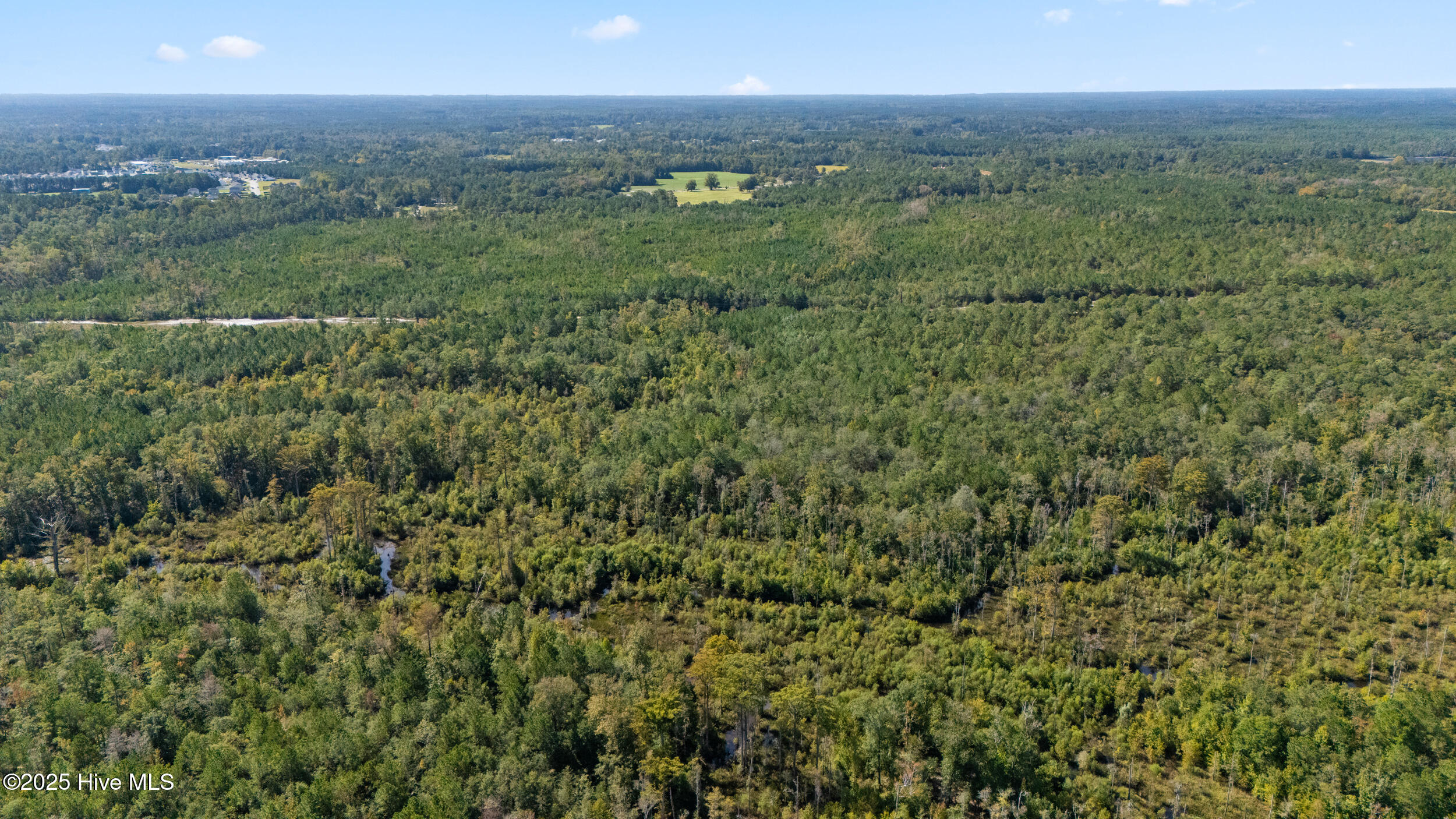 100536371 | Photo 11