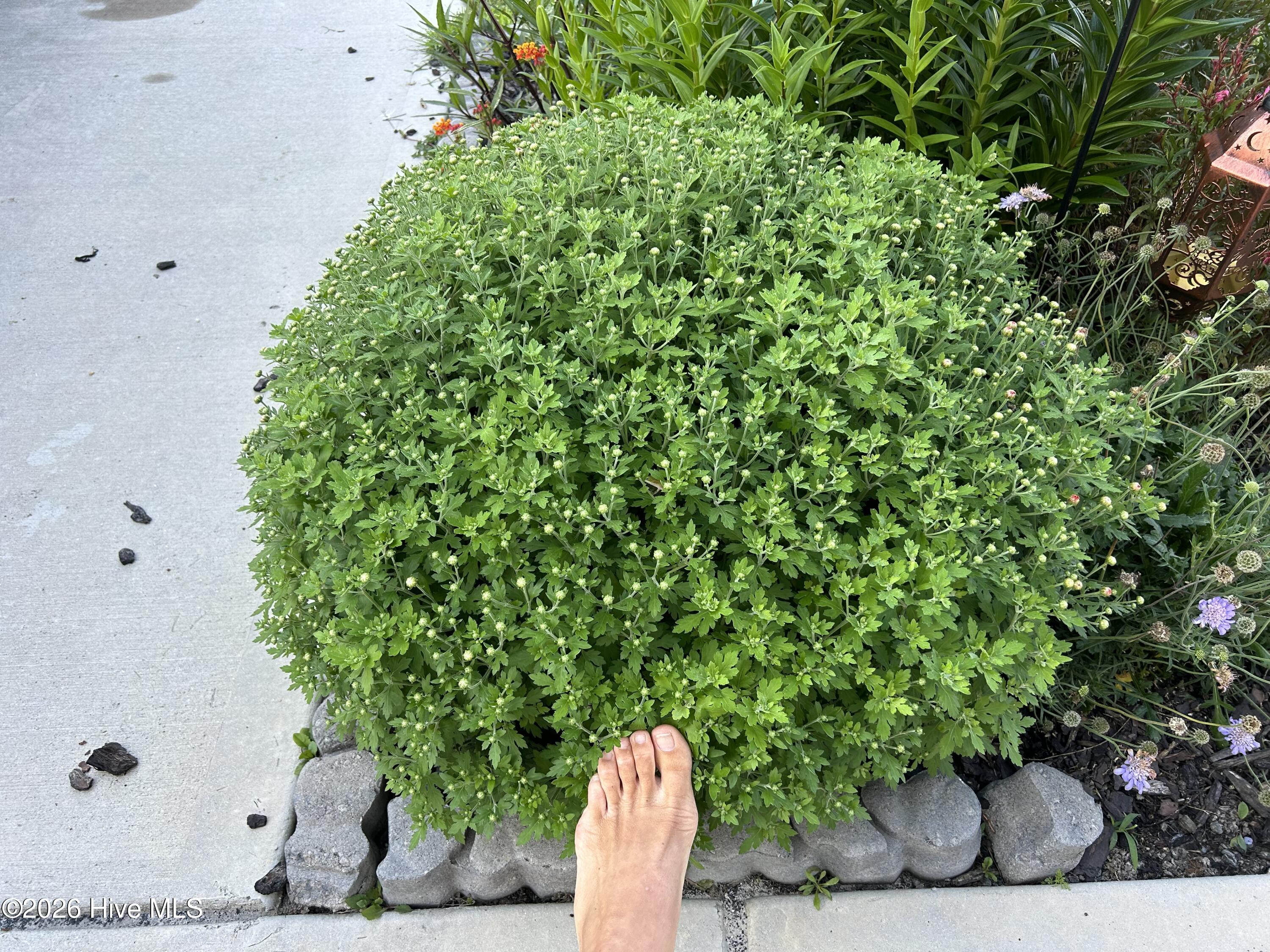 100549687 | Photo 82