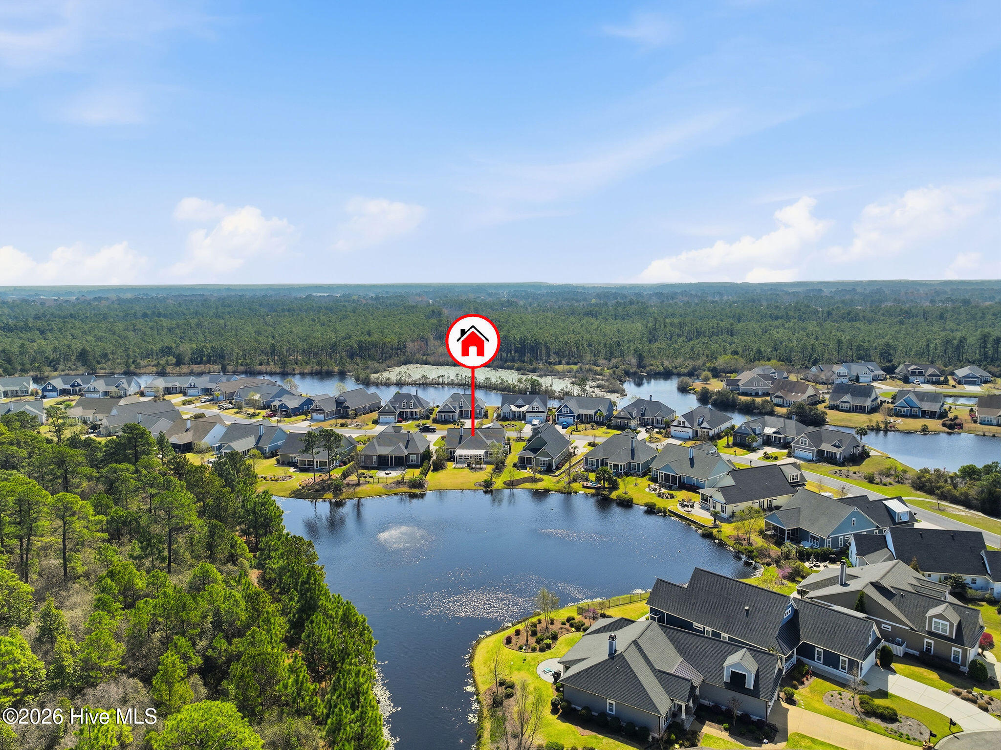 100563234 | Photo 49