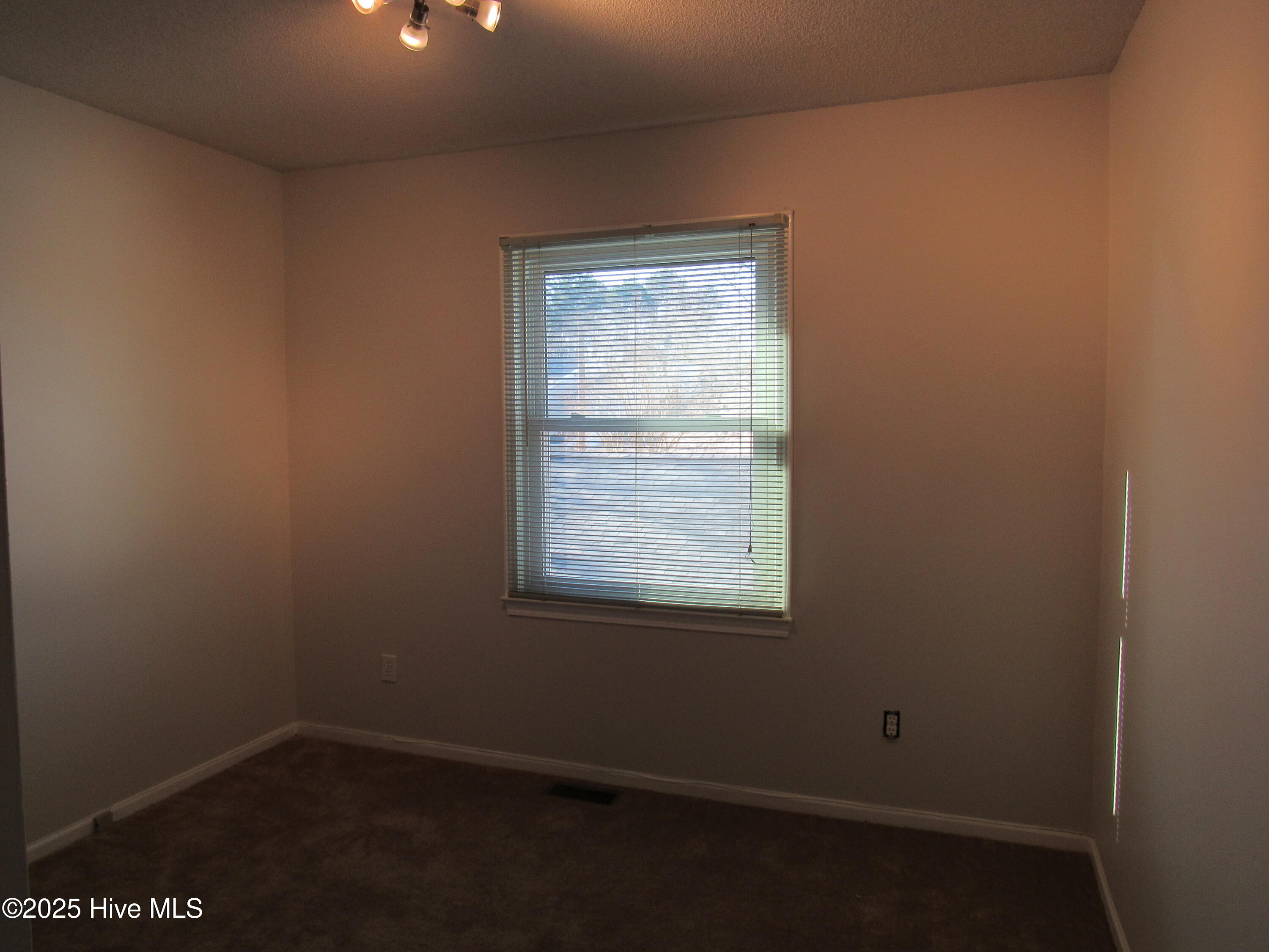 100547003 | Photo 23