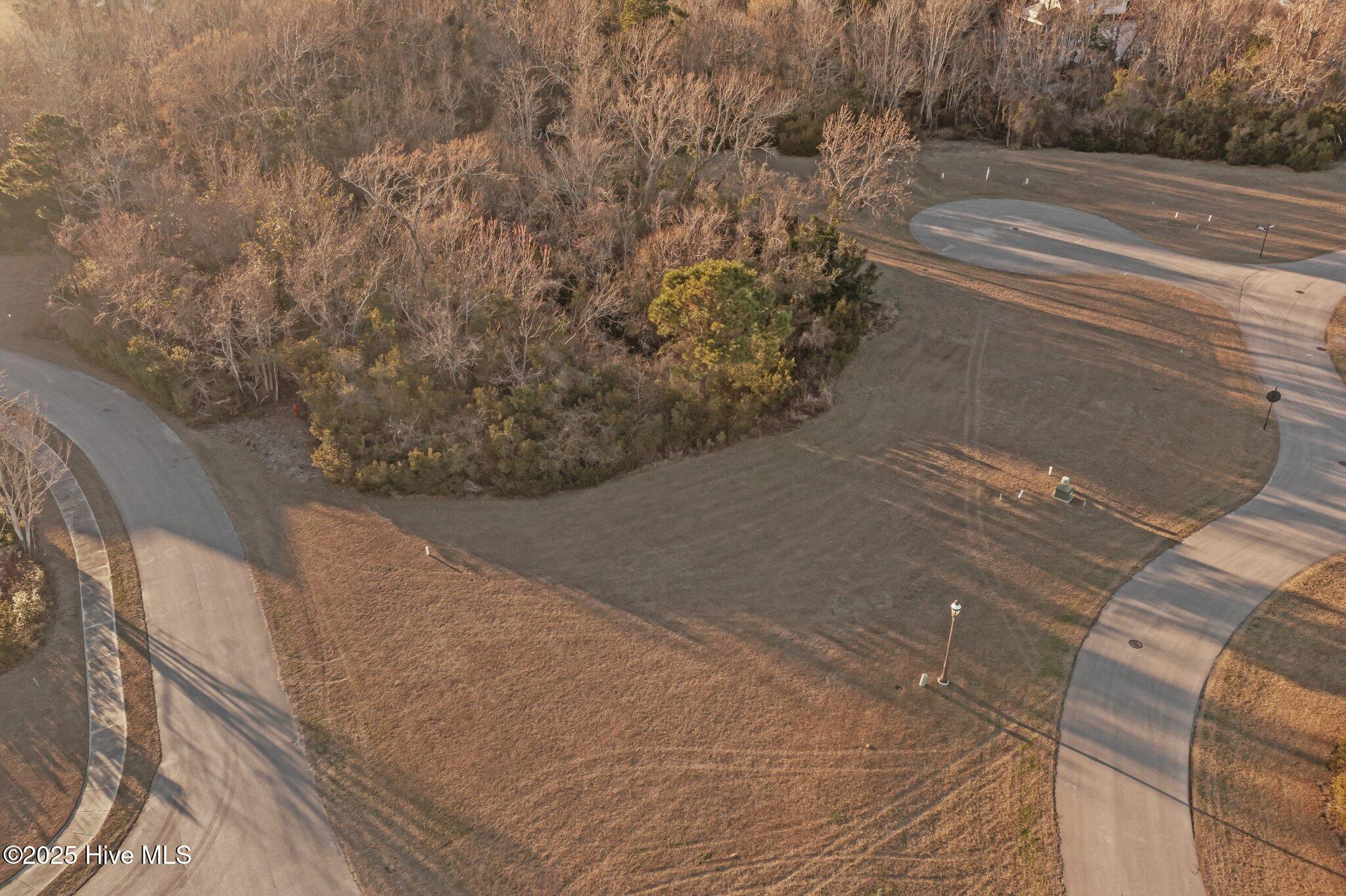 100559624 | Photo 10