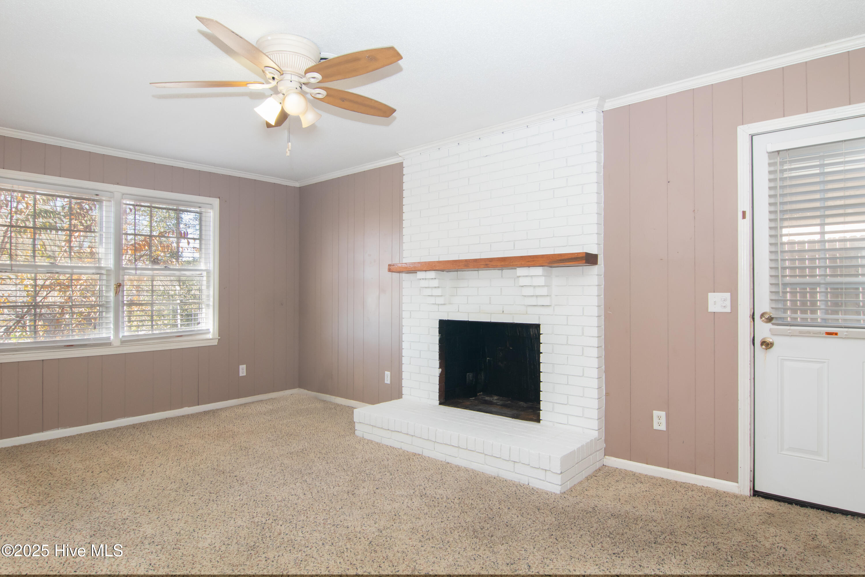 100545046 | Photo 16