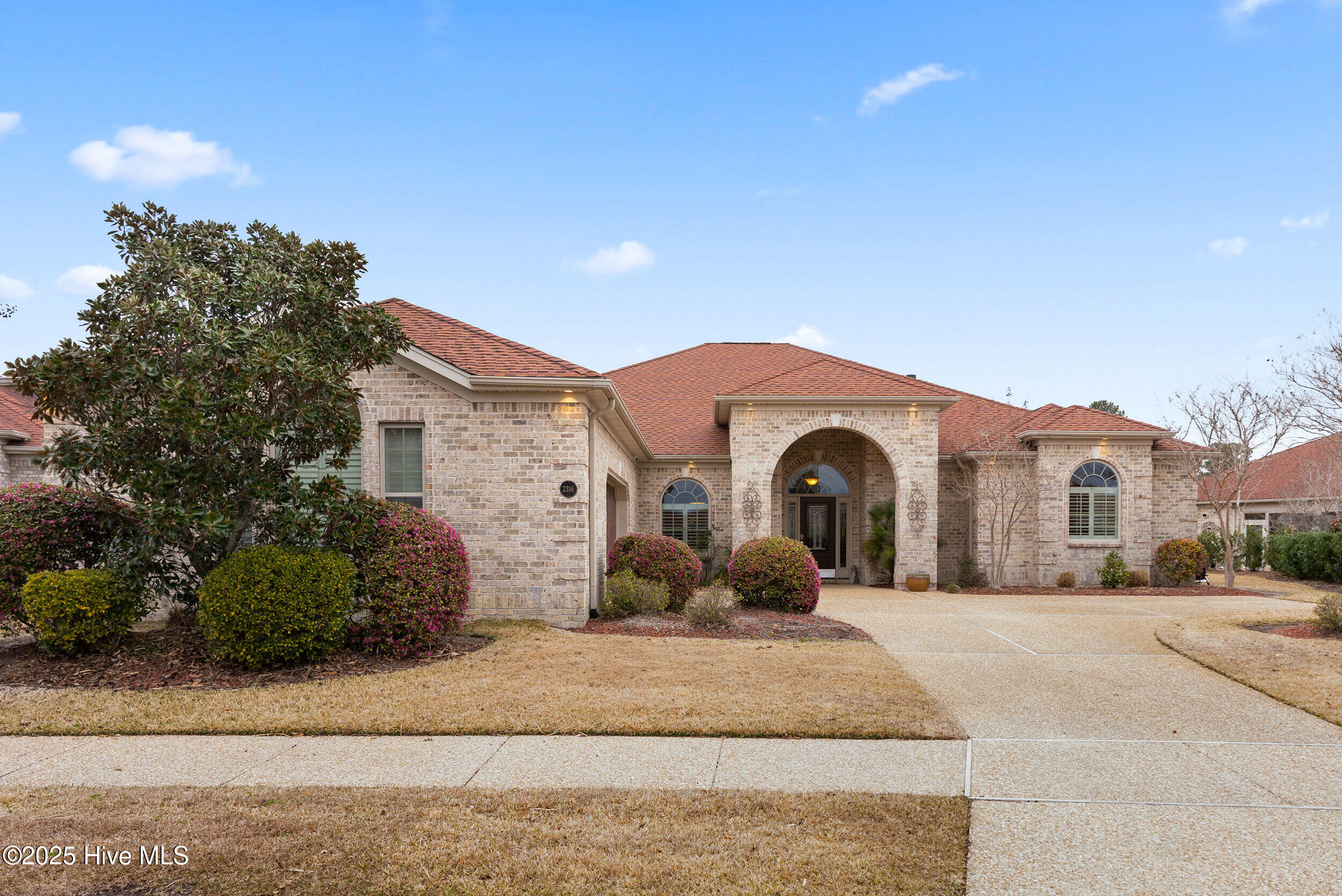 100543015 | Photo 43