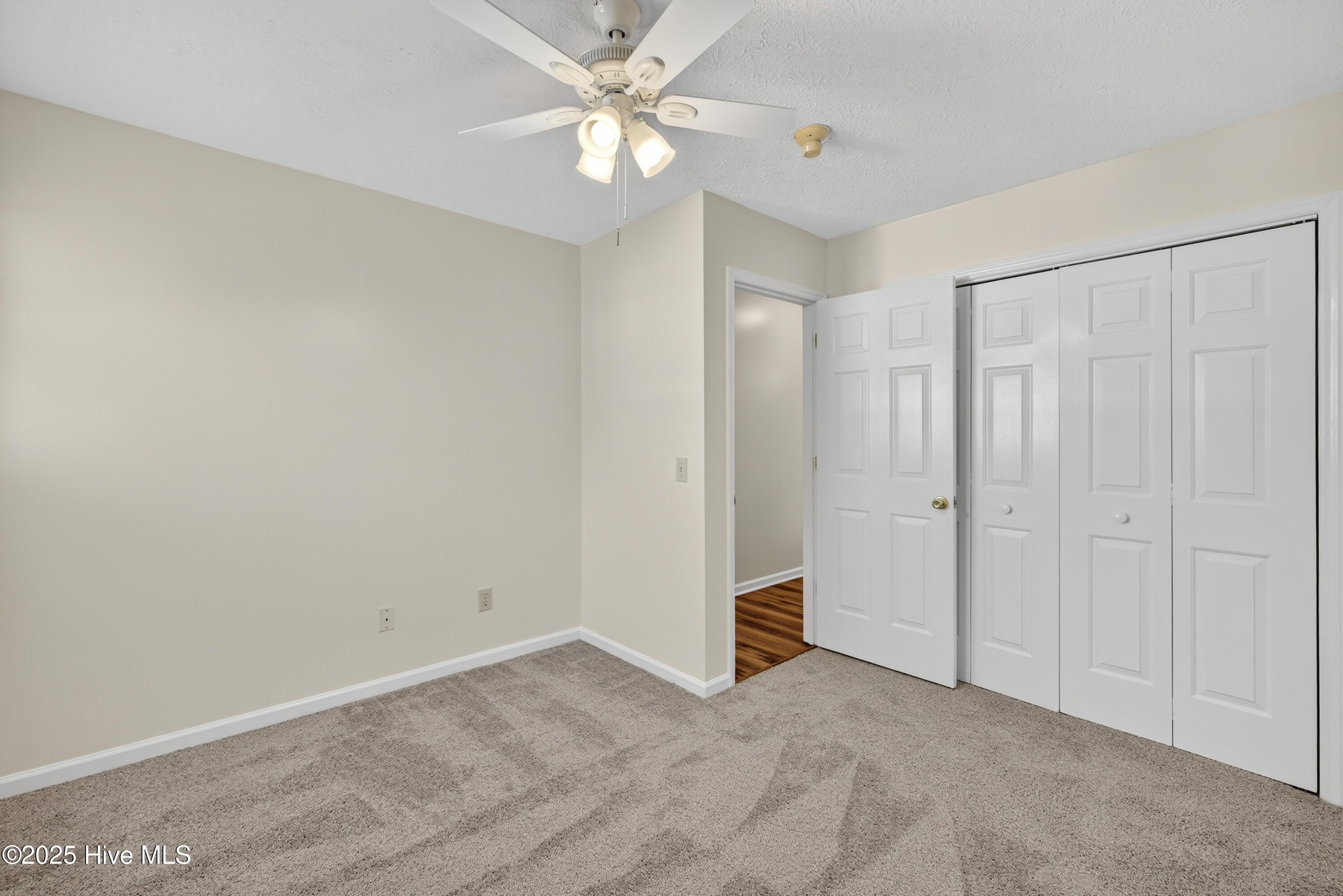 100541099 | Photo 19