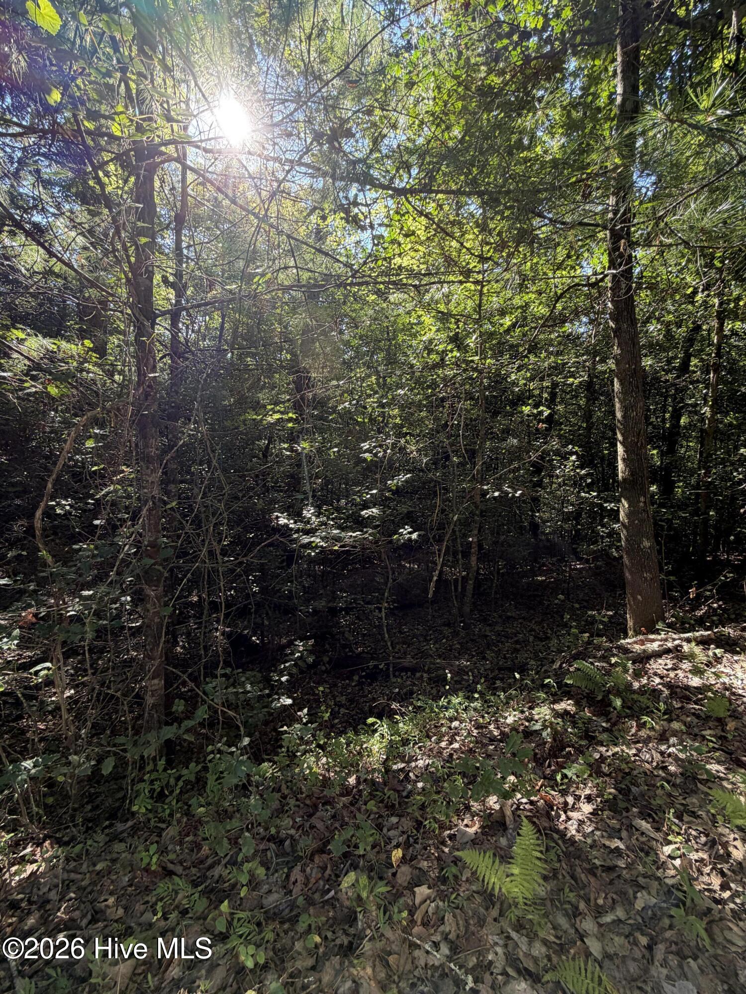Exterior photo of 0 Explorer Ridge, Murphy, NC 28906. MLS: 100598978