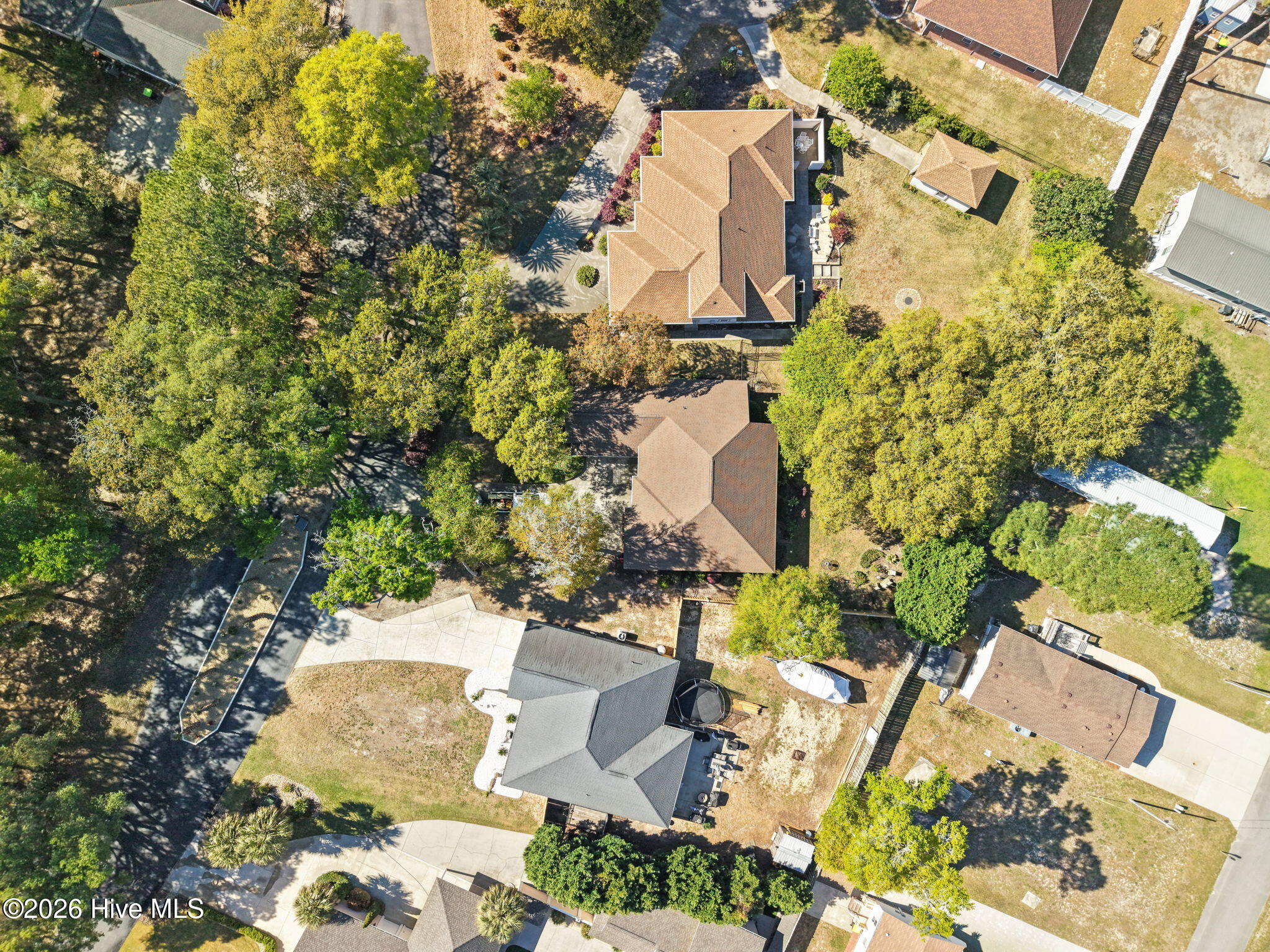 100567853 | Photo 48