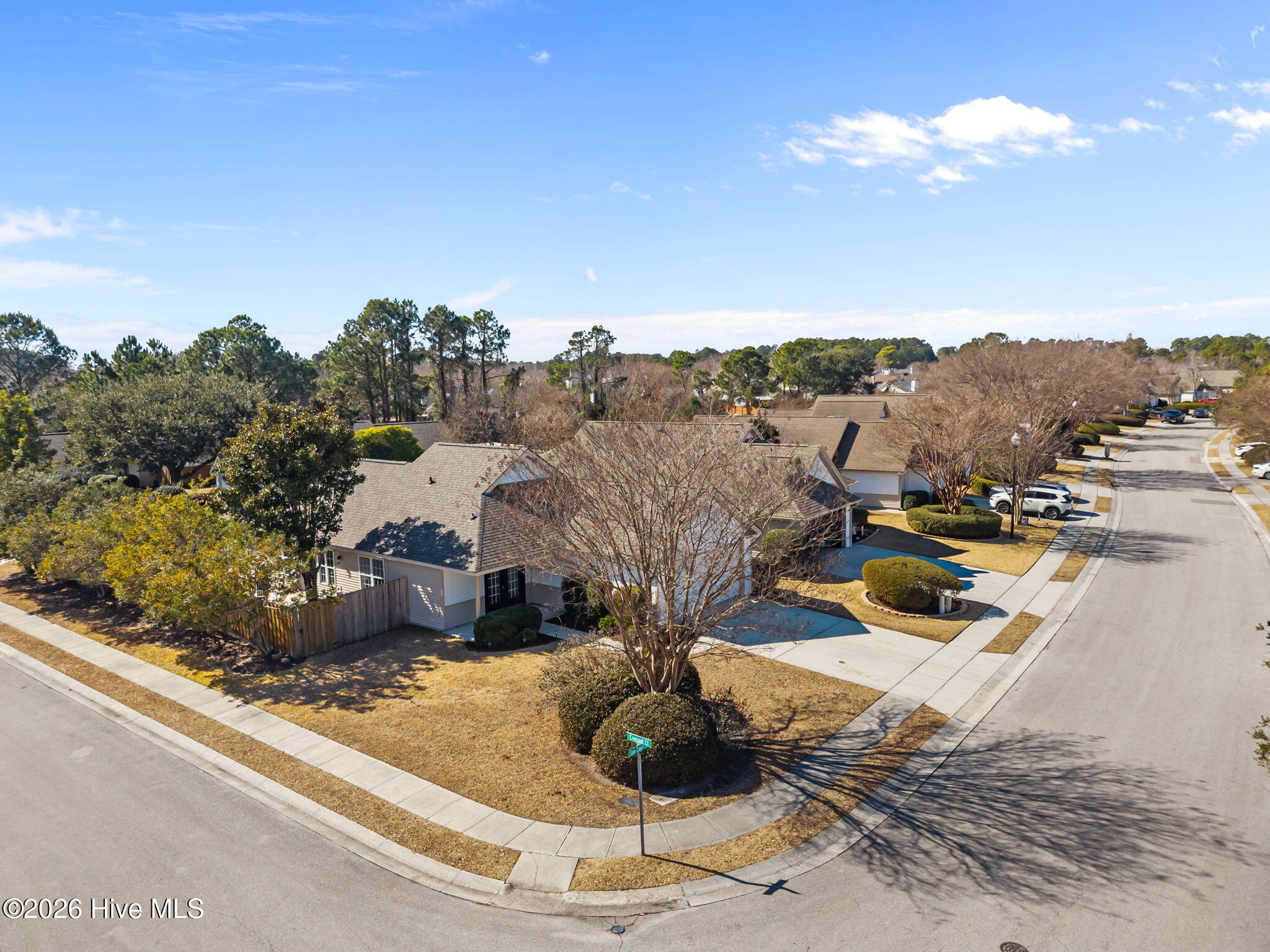 100556215 | Photo 57