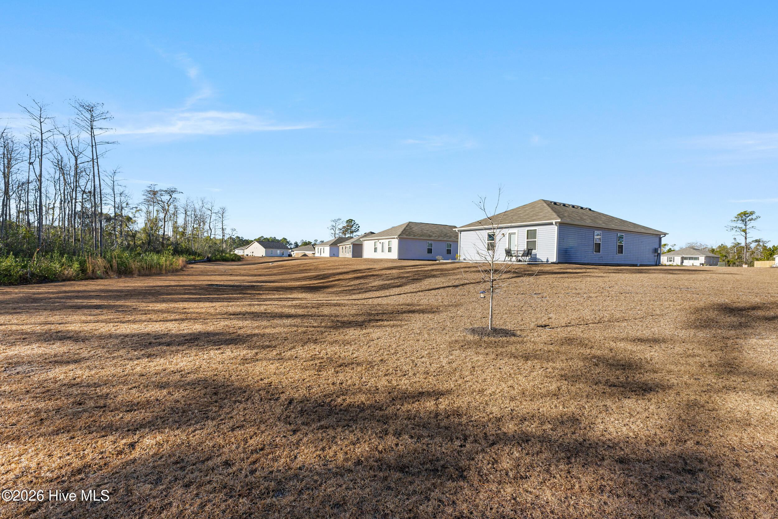 100547878 | Photo 26