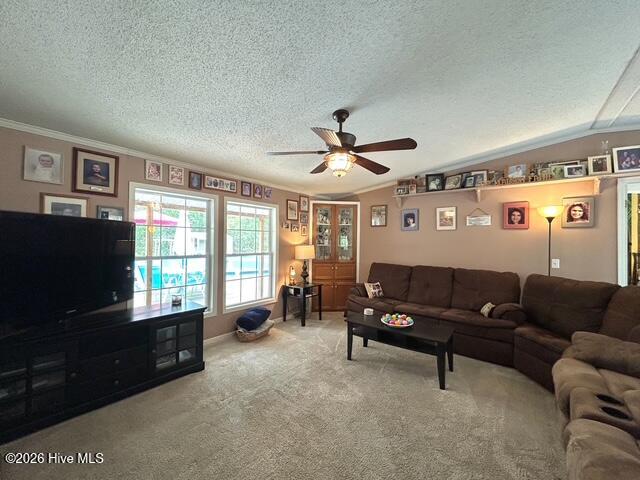 100566420 | Photo 43