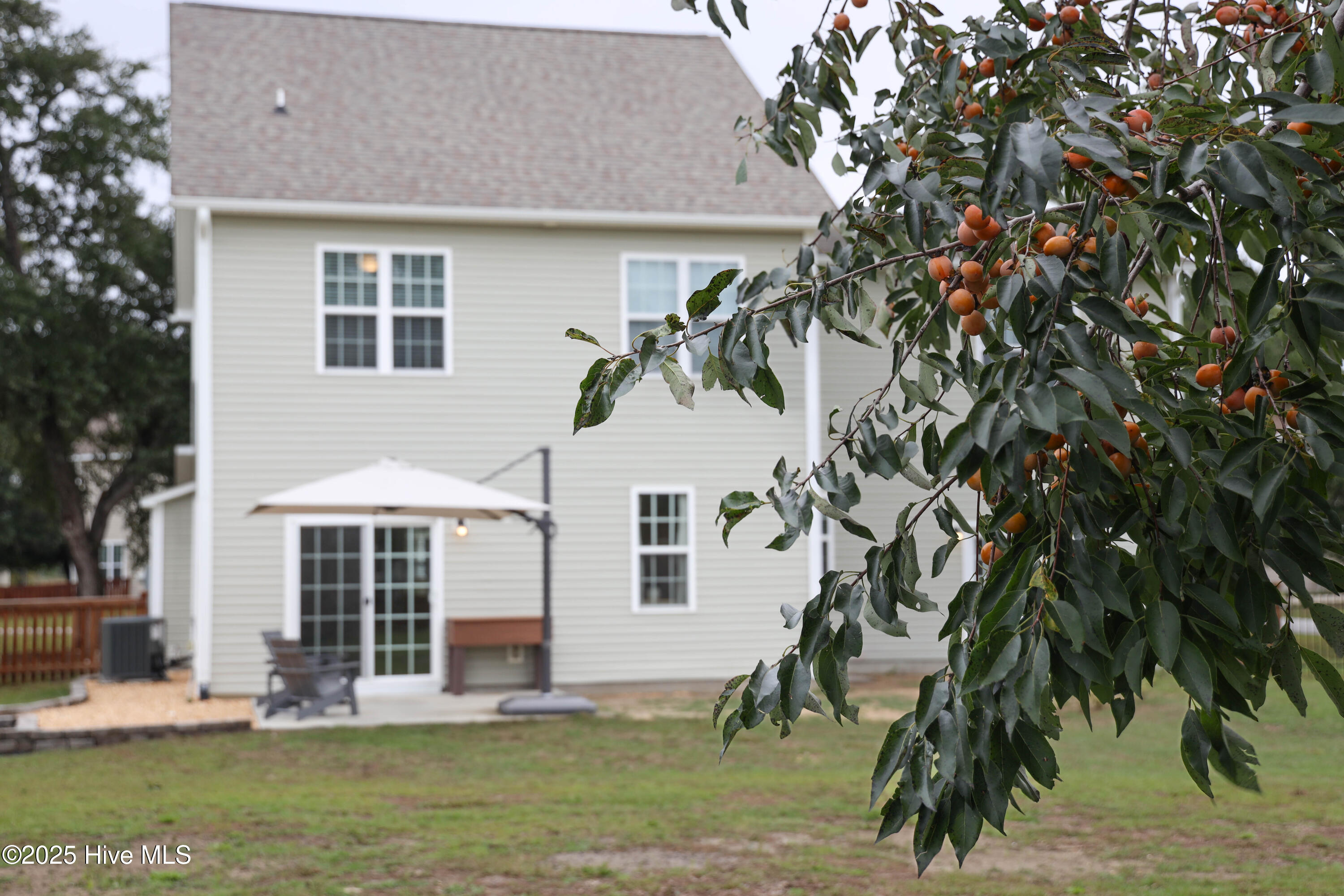 100536408 | Photo 61