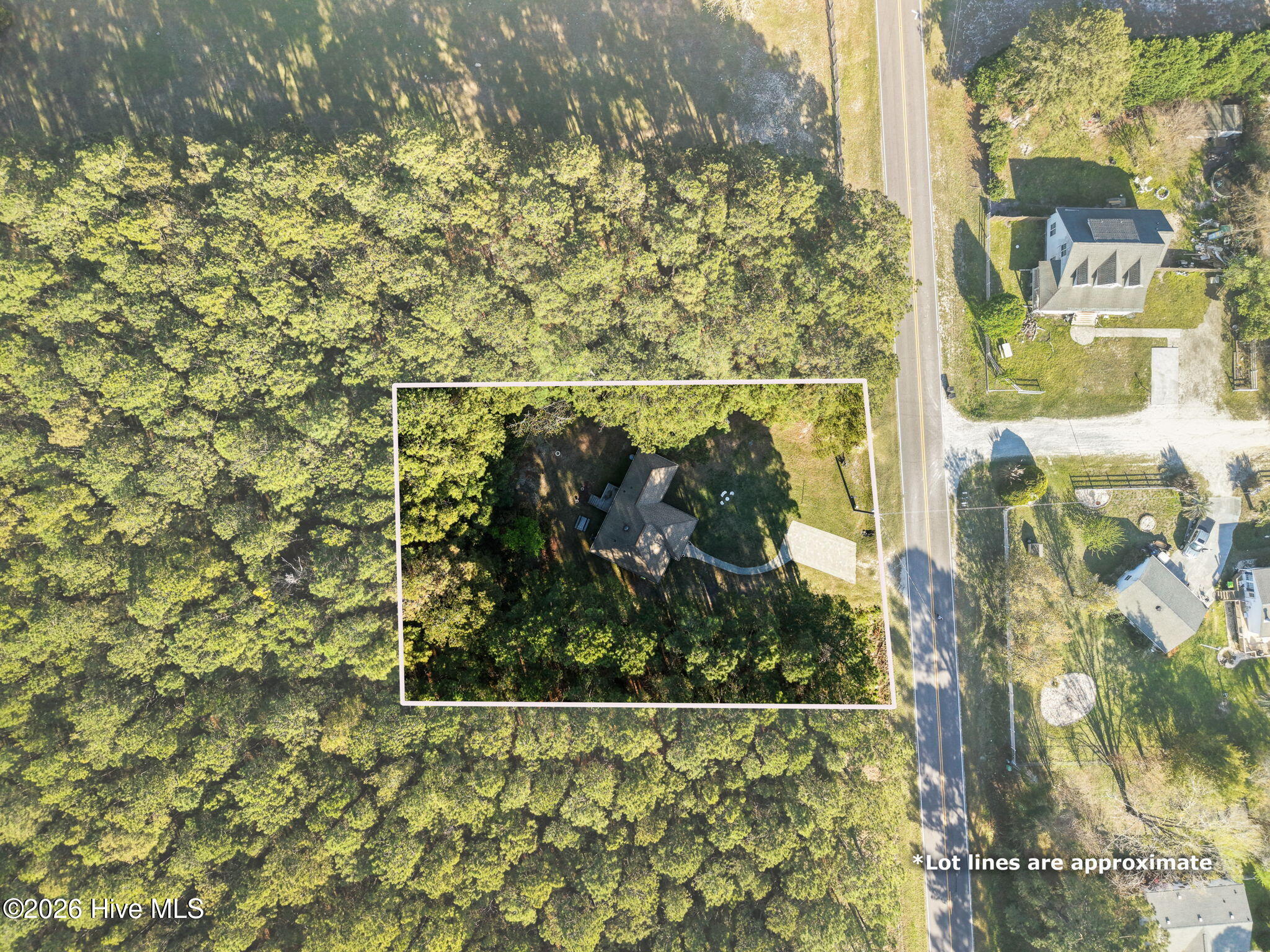 100563961 | Photo 29