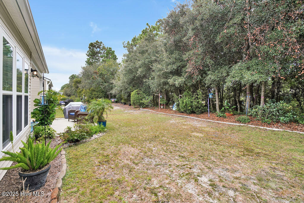 100532271 | Photo 30