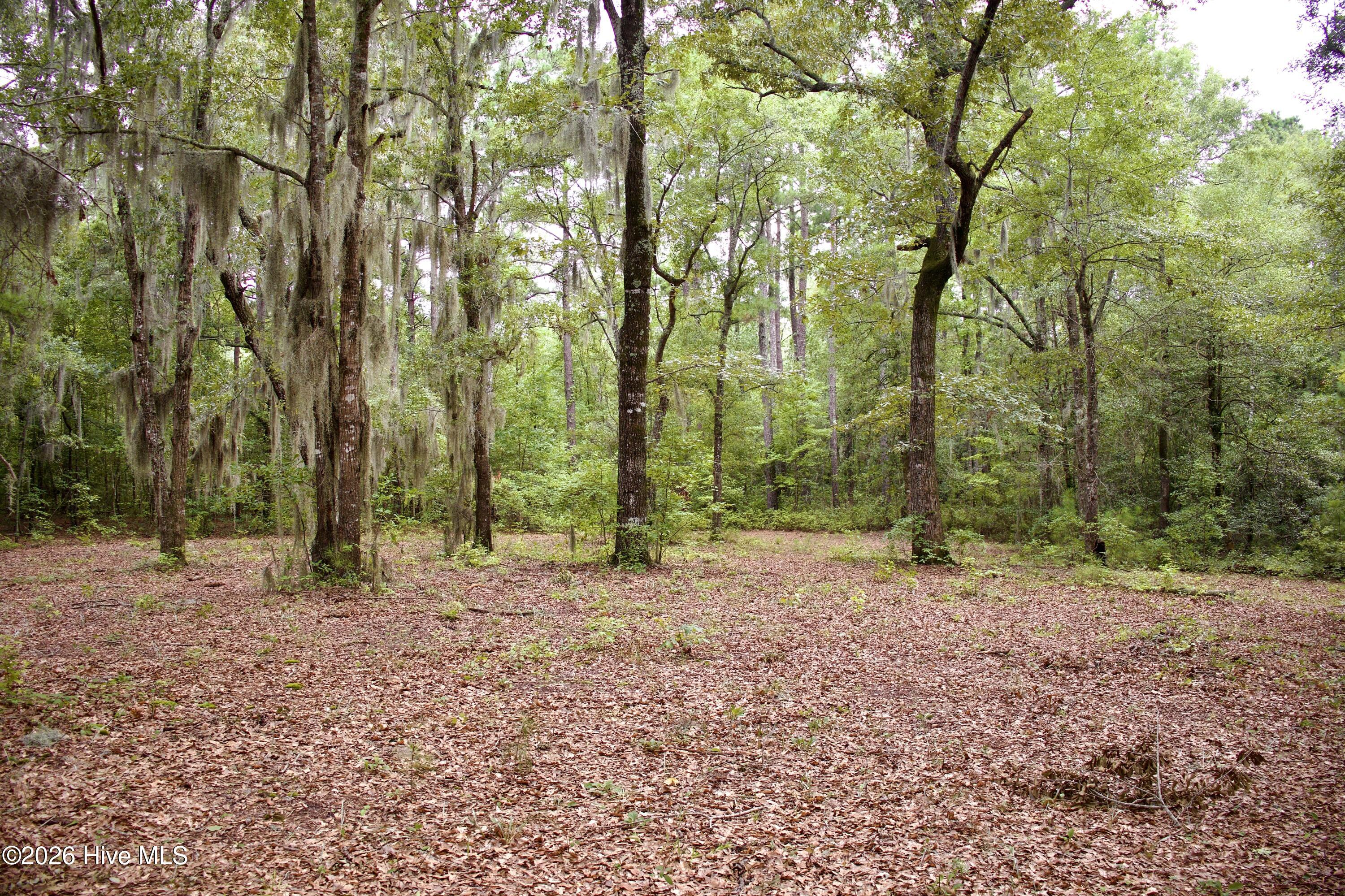 385 Sand Ridge Road,New Bern
