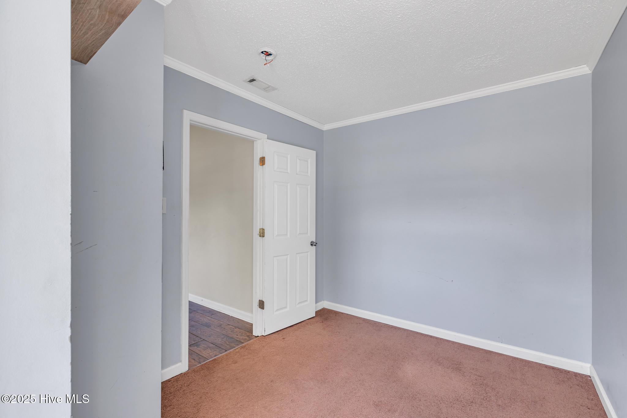 100539855 | Photo 16