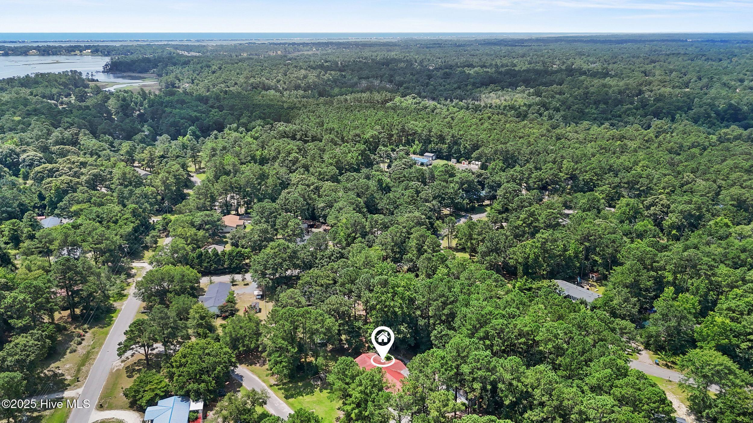 100515334 | Photo 51