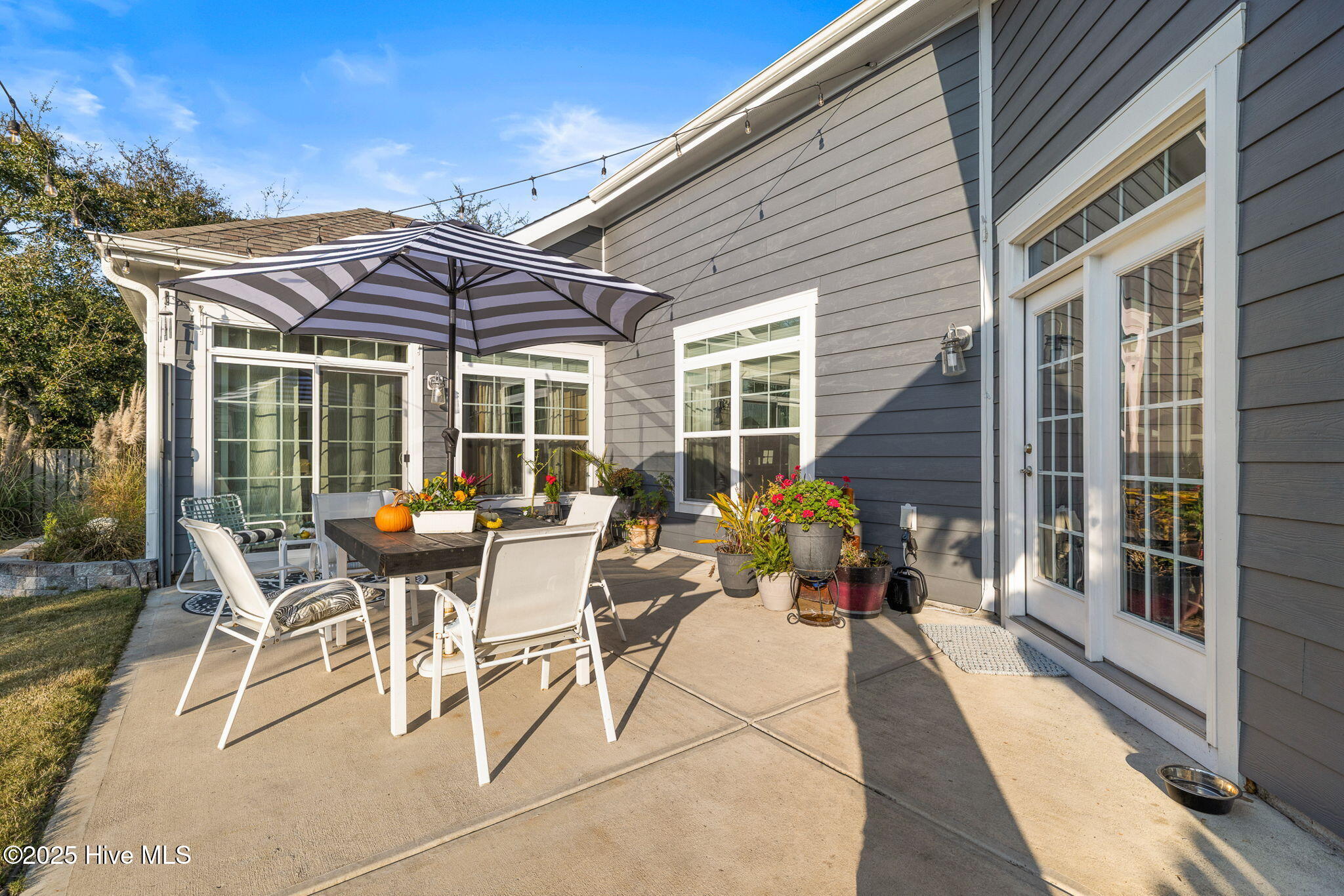 100542385 | Photo 47