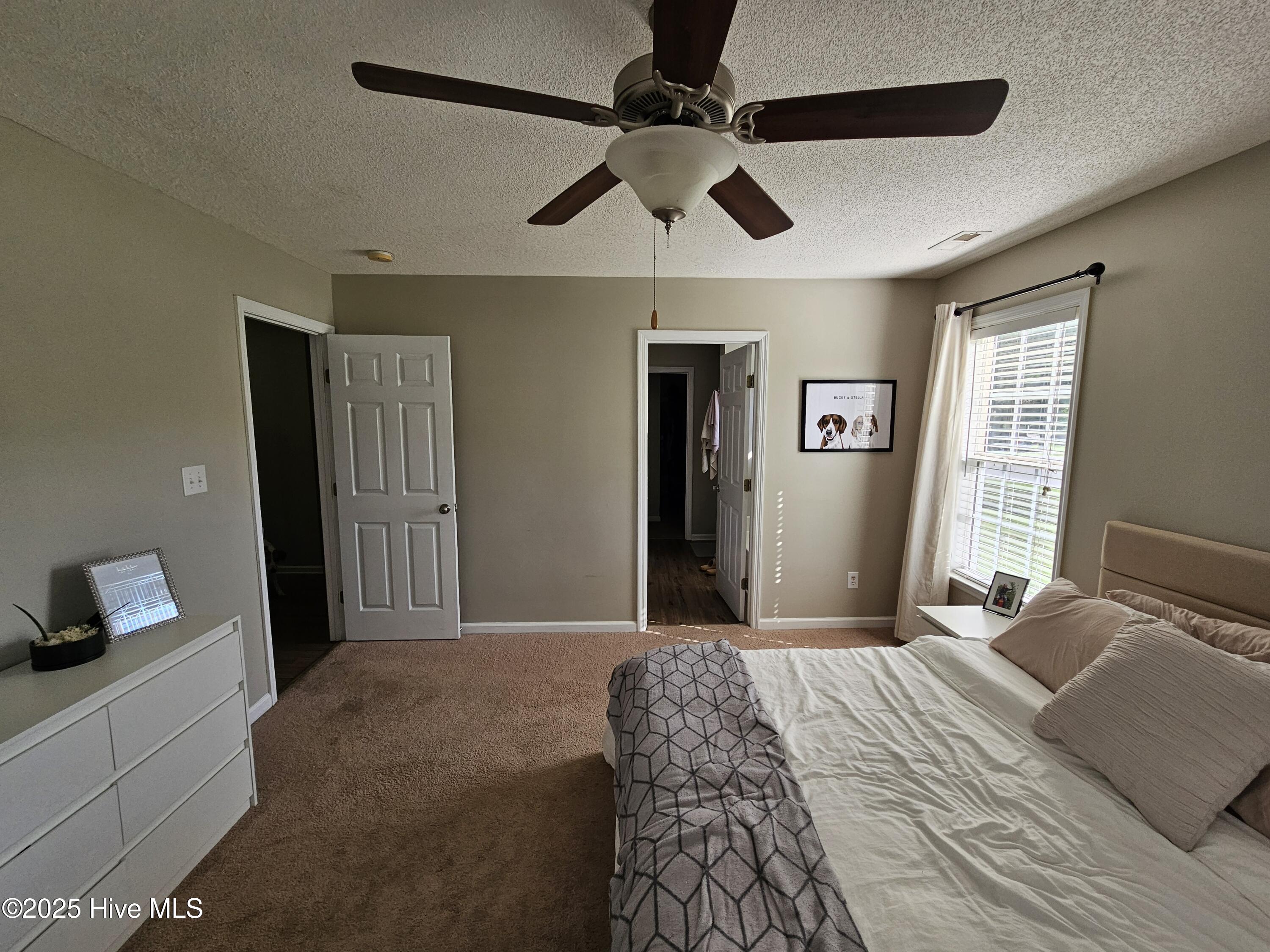 100547023 | Photo 13