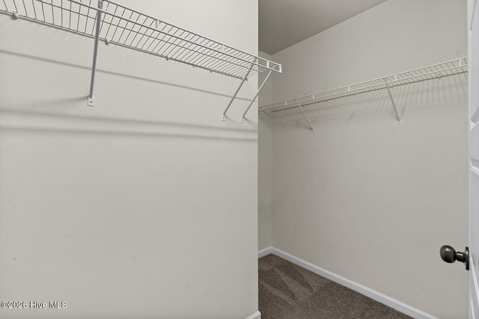 100556898 | Photo 16