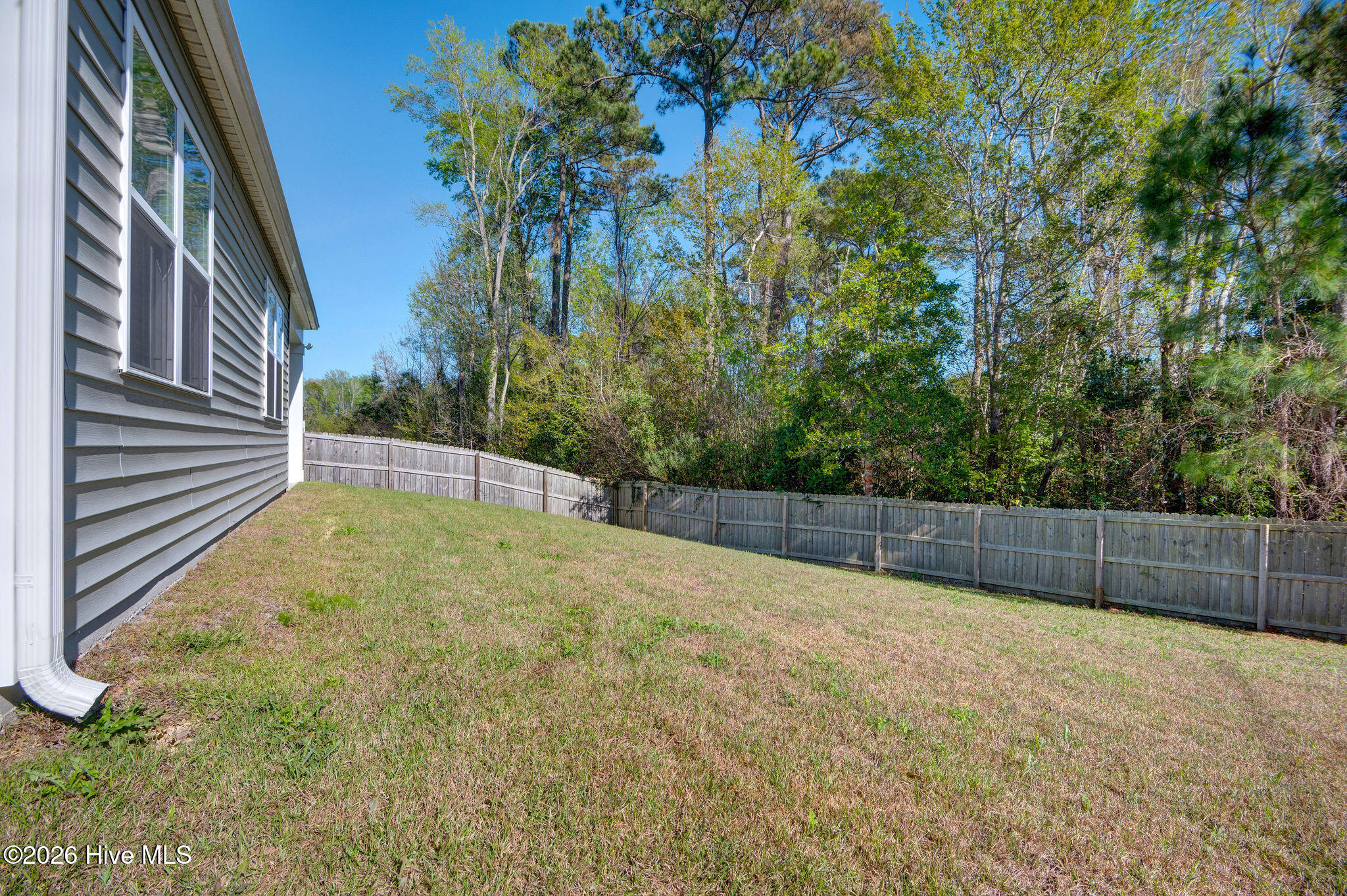 100562701 | Photo 58