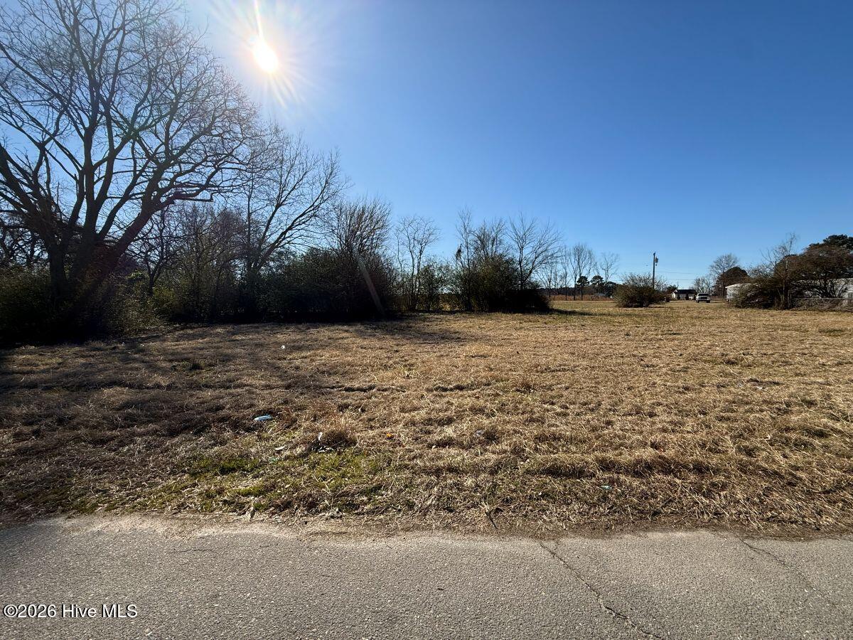 Off Of Franklin Street, Mount Olive, NC, 28365