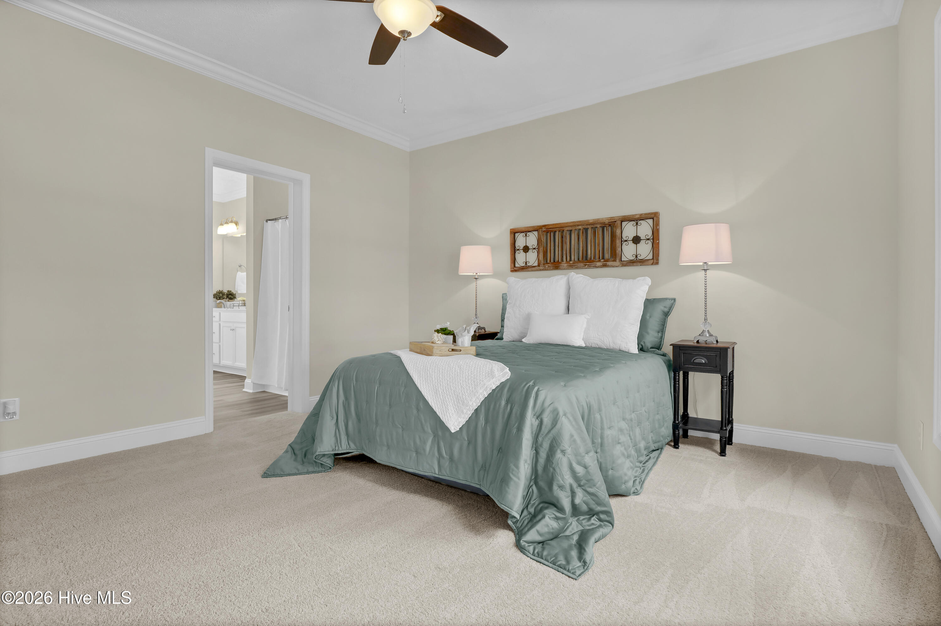 100559268 | Photo 17