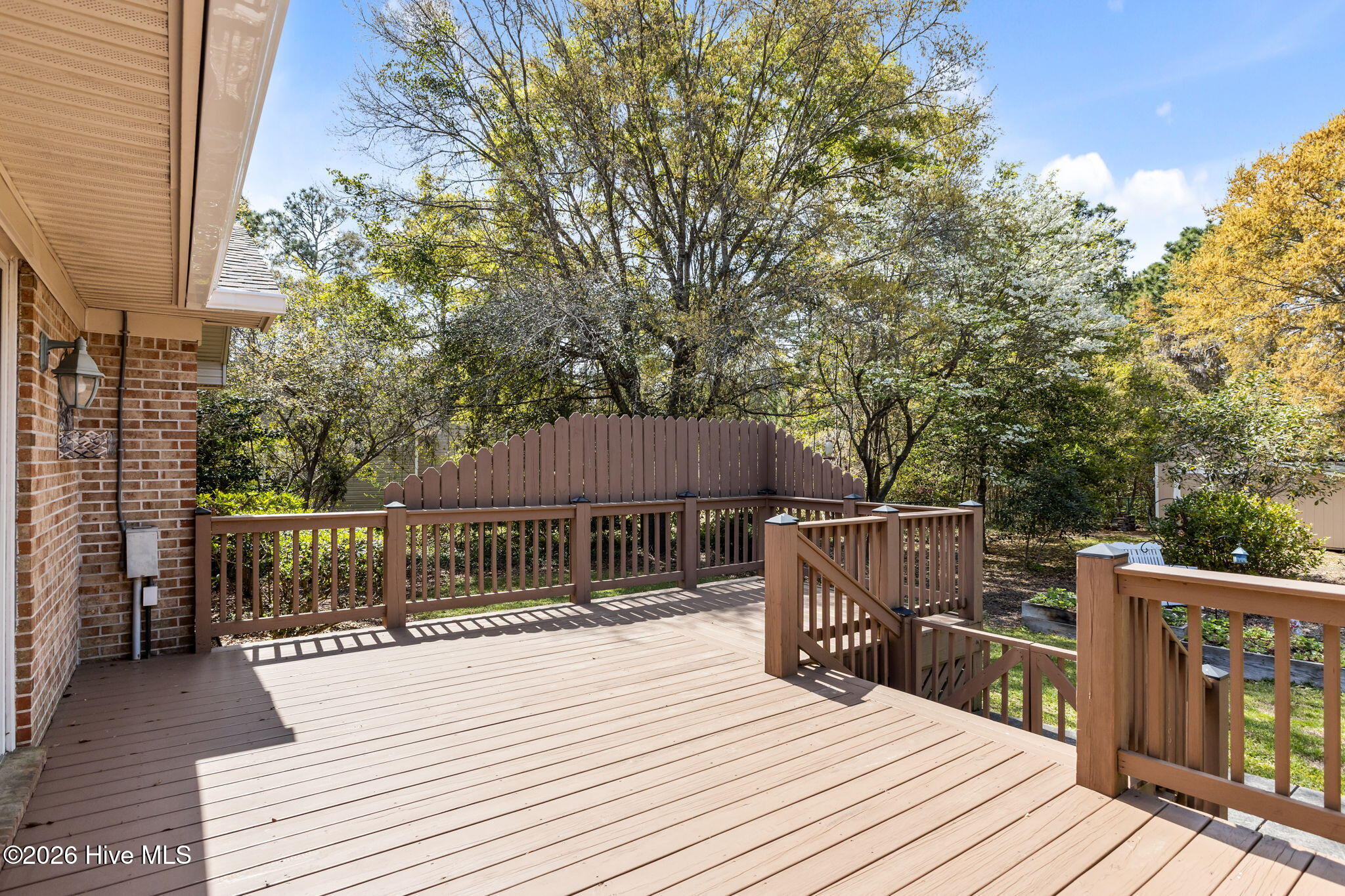 100566474 | Photo 18