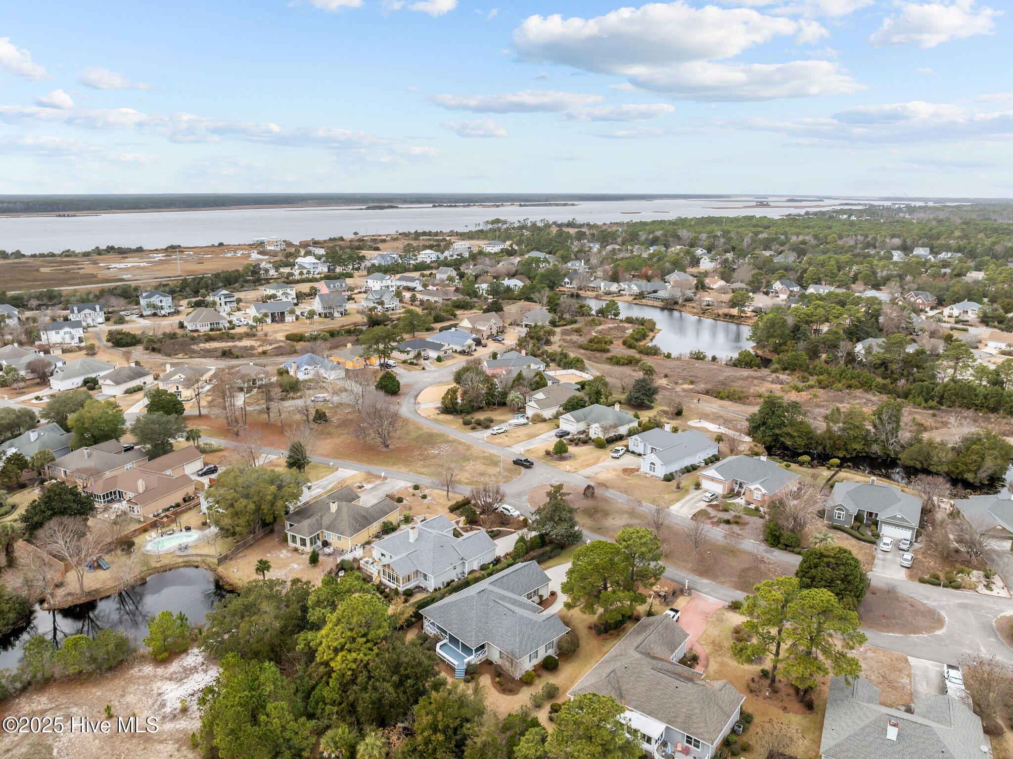 100547152 | Photo 39