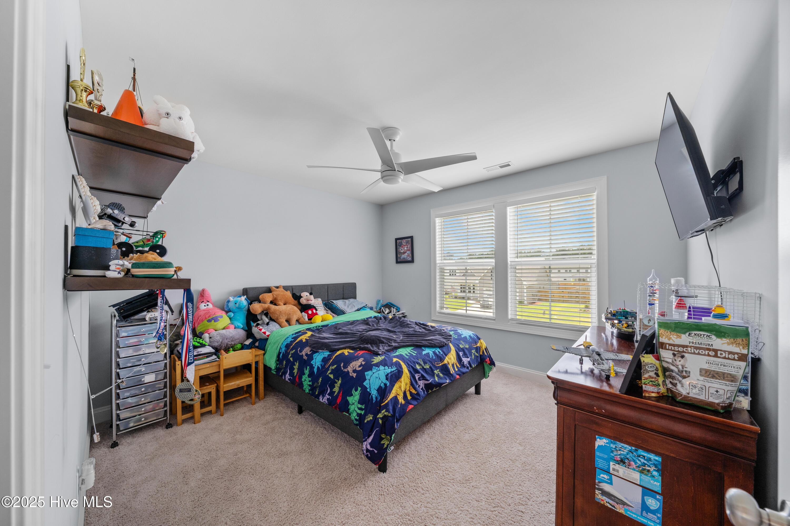 100512596 | Photo 34