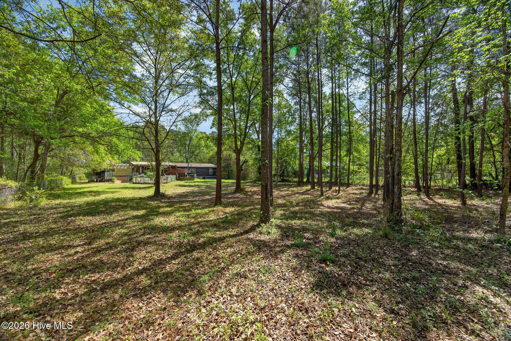 100566333 | Photo 40