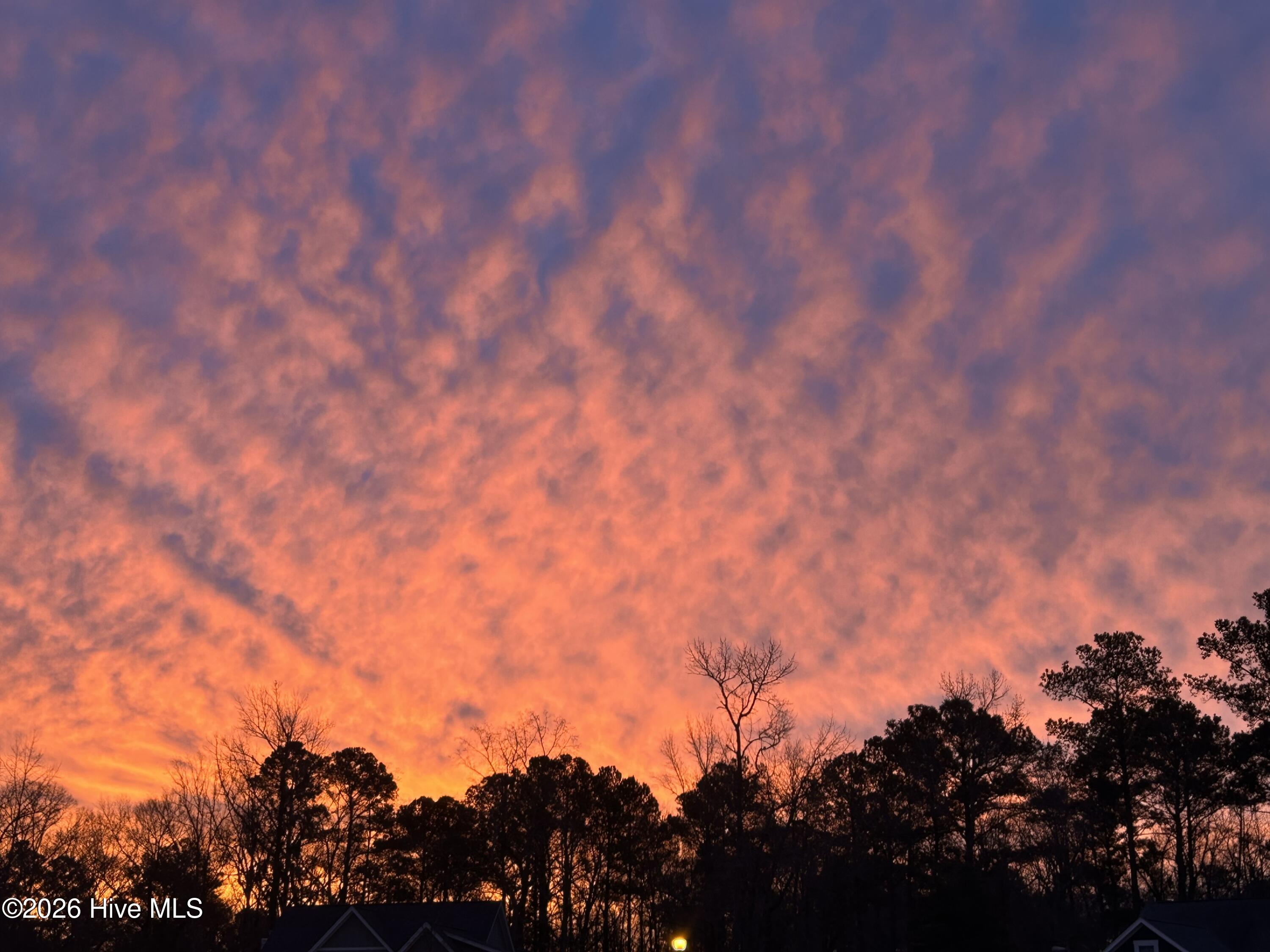 100552333 | Photo 12