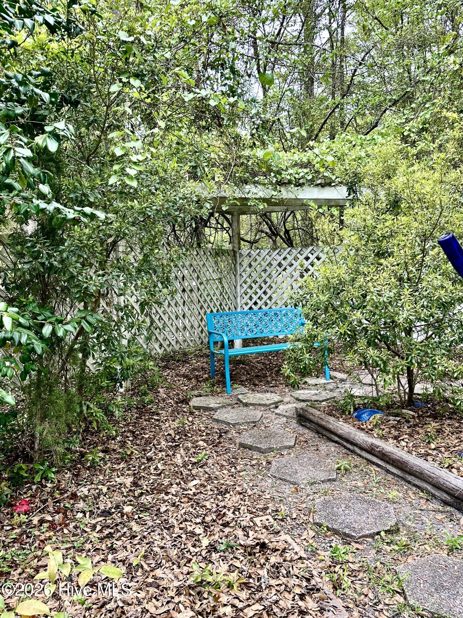 100561830 | Photo 34