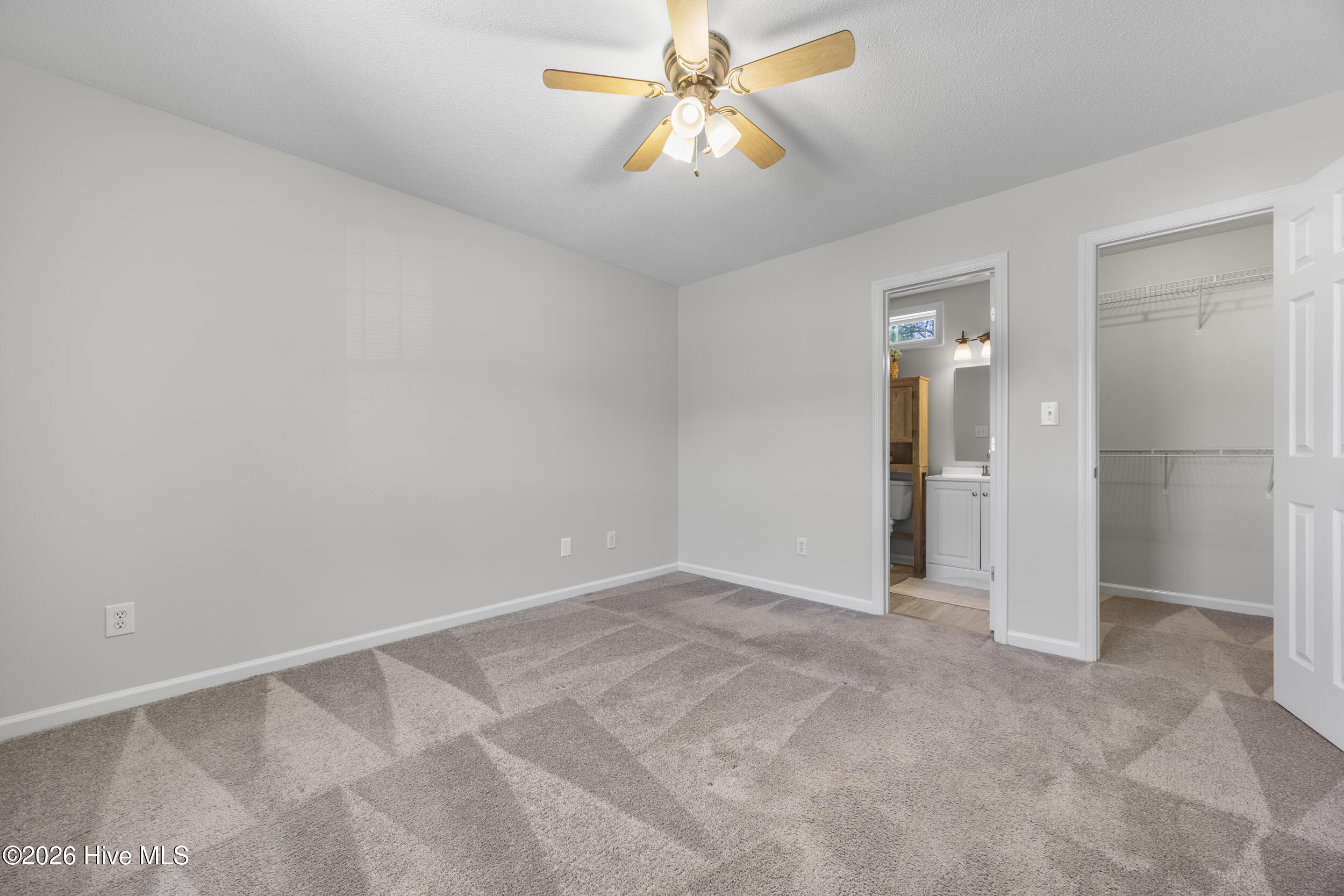 100561186 | Photo 18