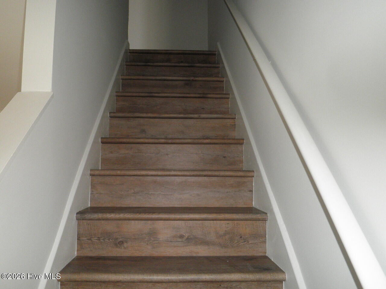 100557446 | Photo 20