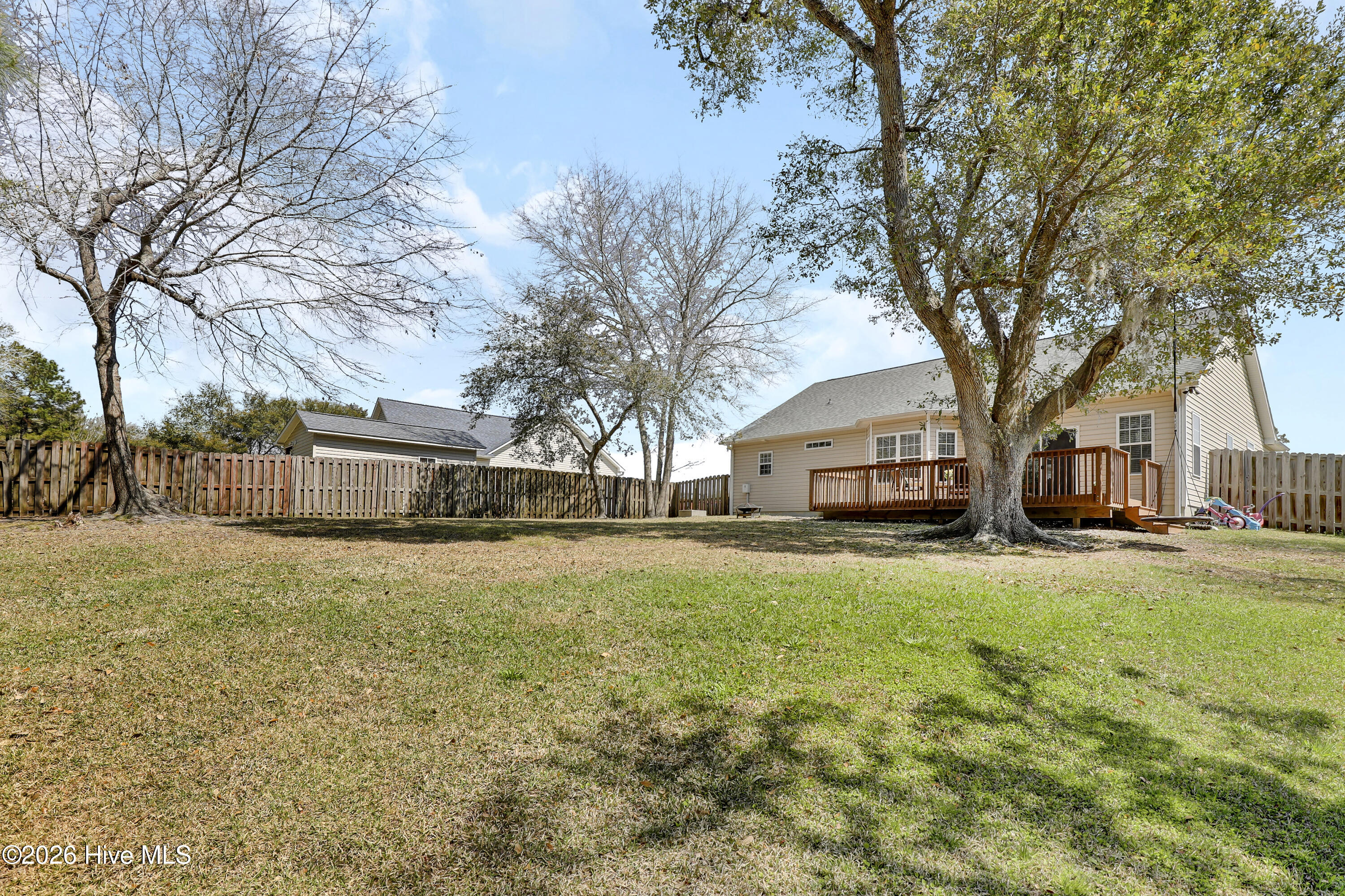 100556544 | Photo 26