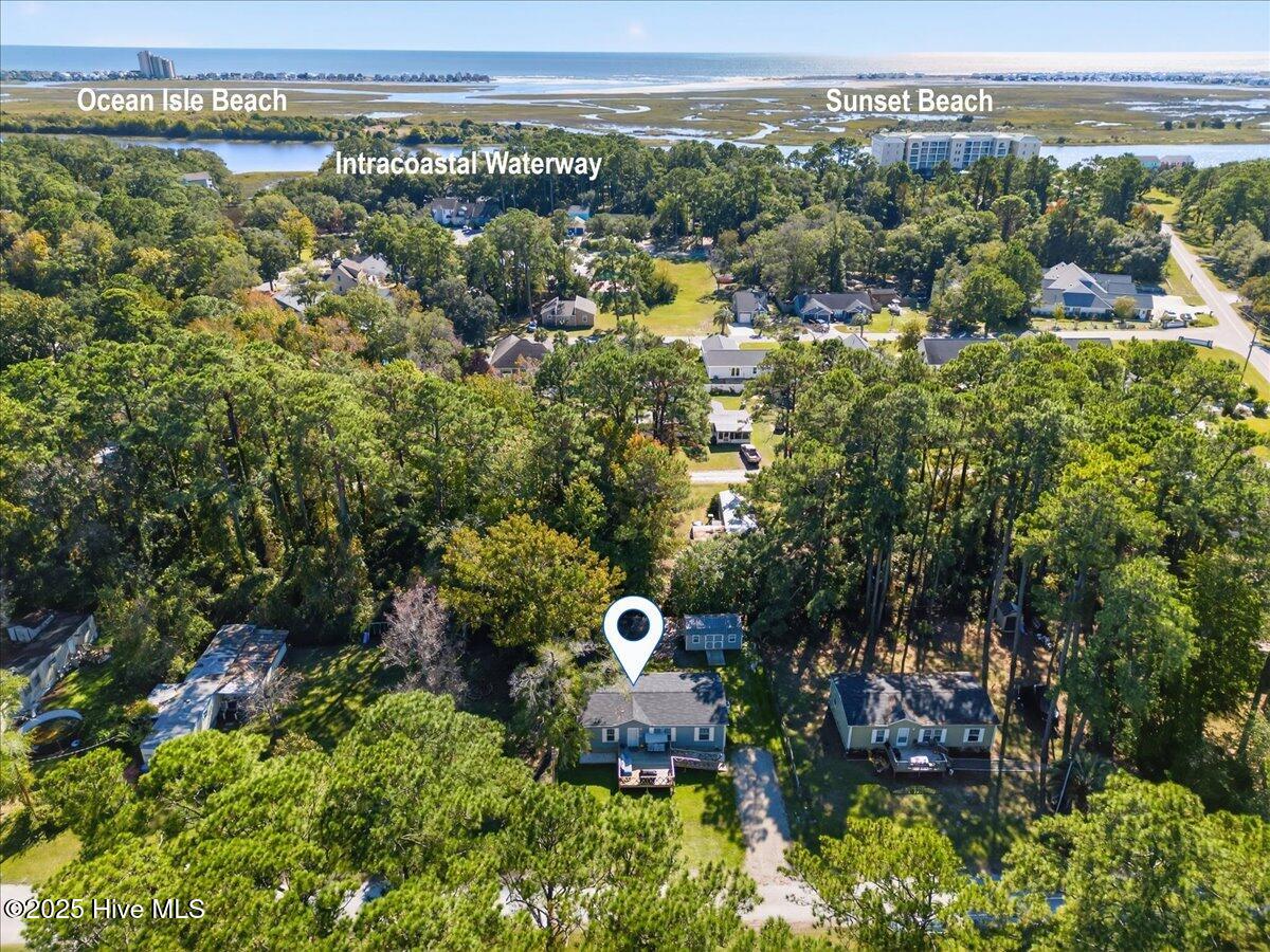 100539224 | Photo 35