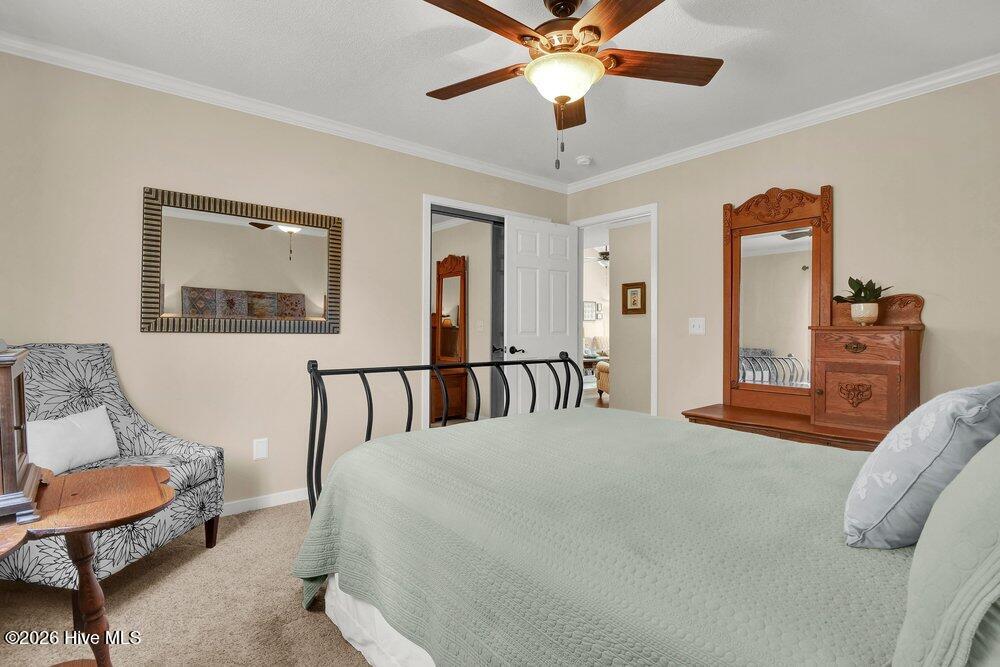 100558966 | Photo 19