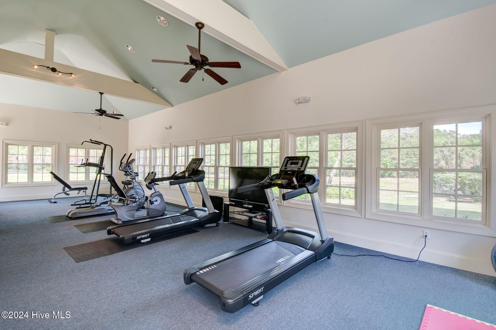 100514580 | Photo 60