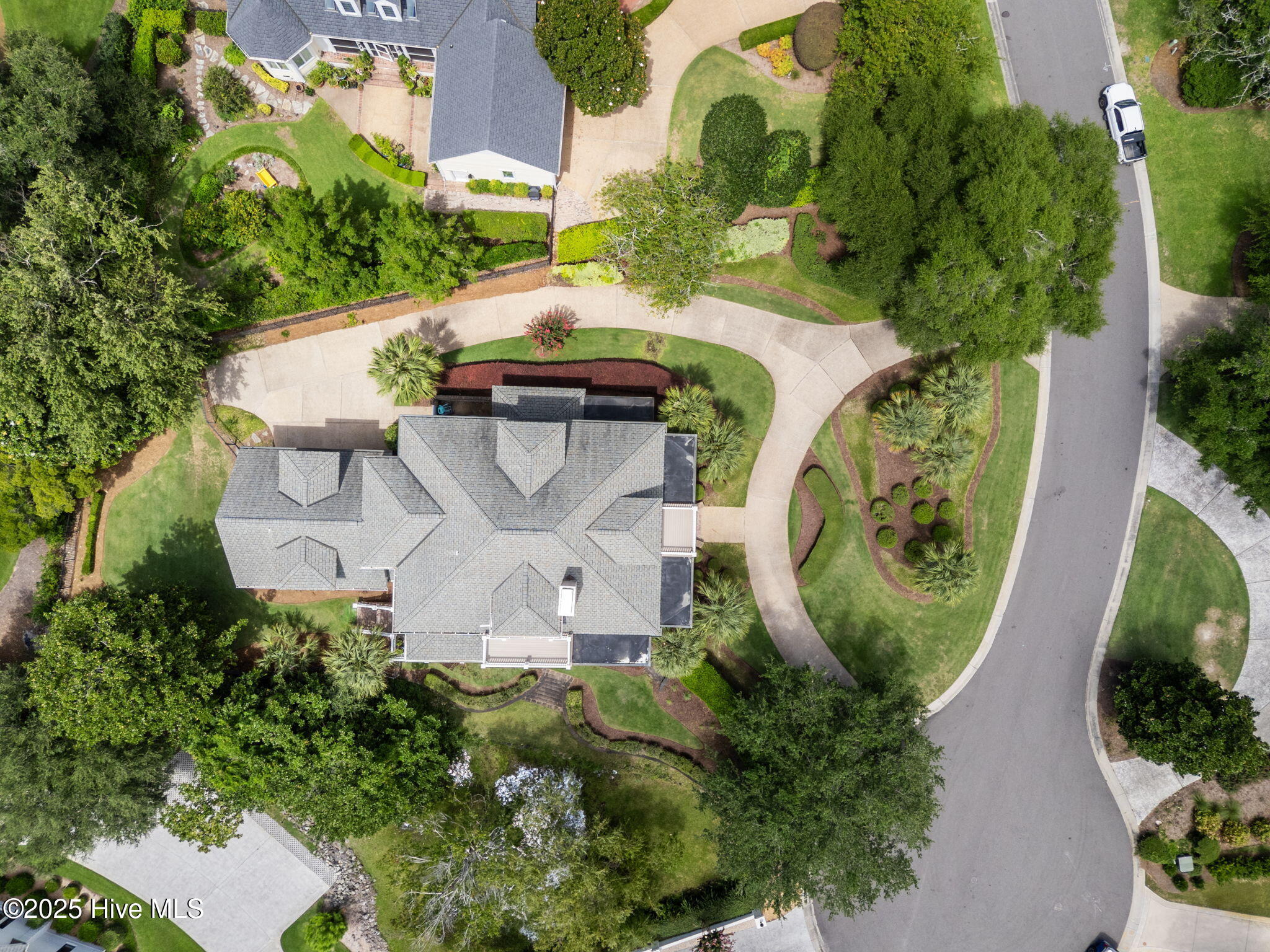 100553124 | Photo 79